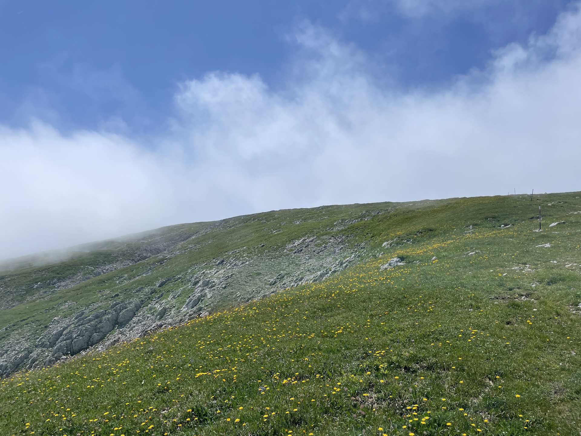 Following the sticks towards <i>Reichenstein</i>