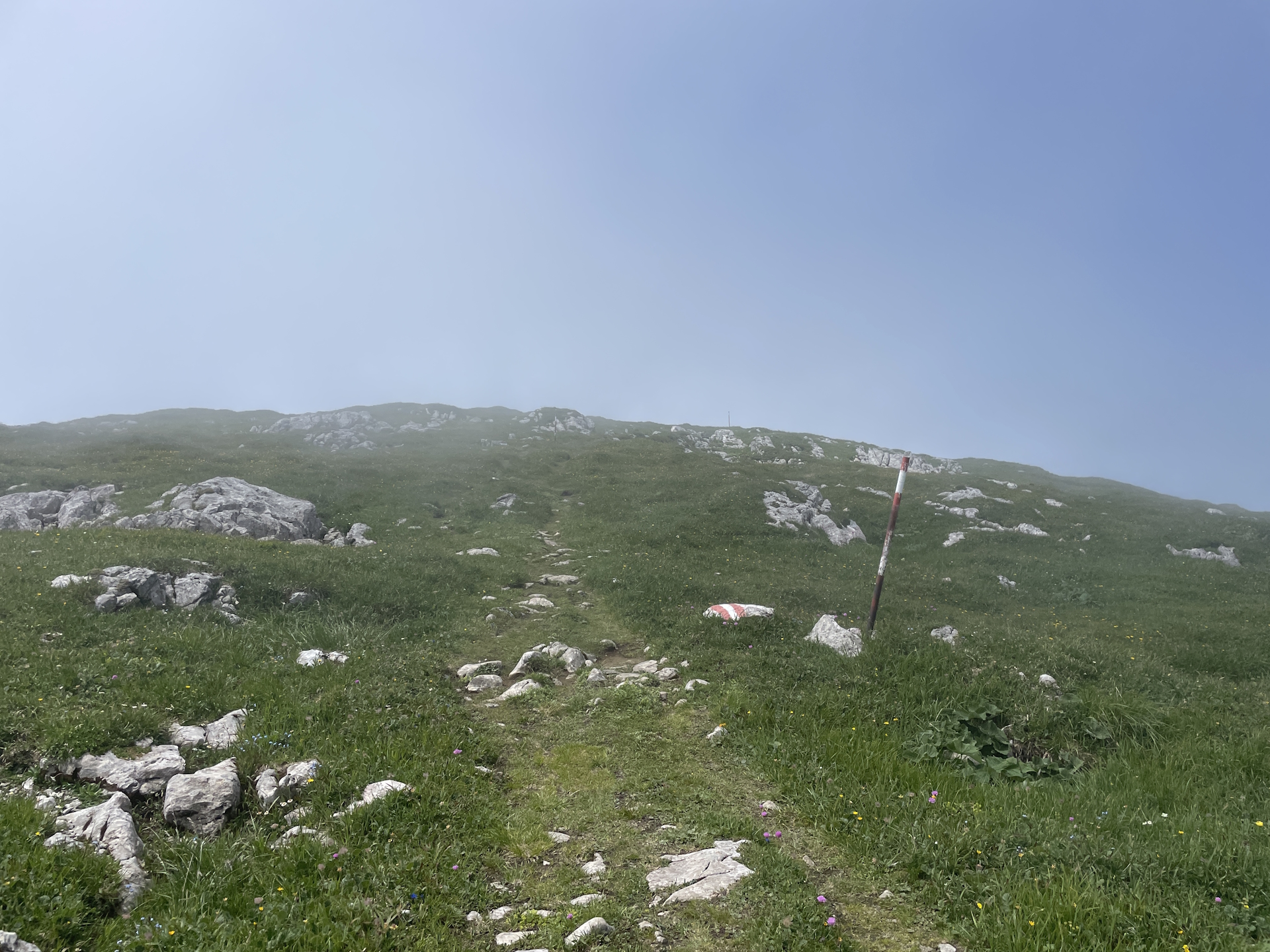 On the trail towards <i>Reichenhals</i>