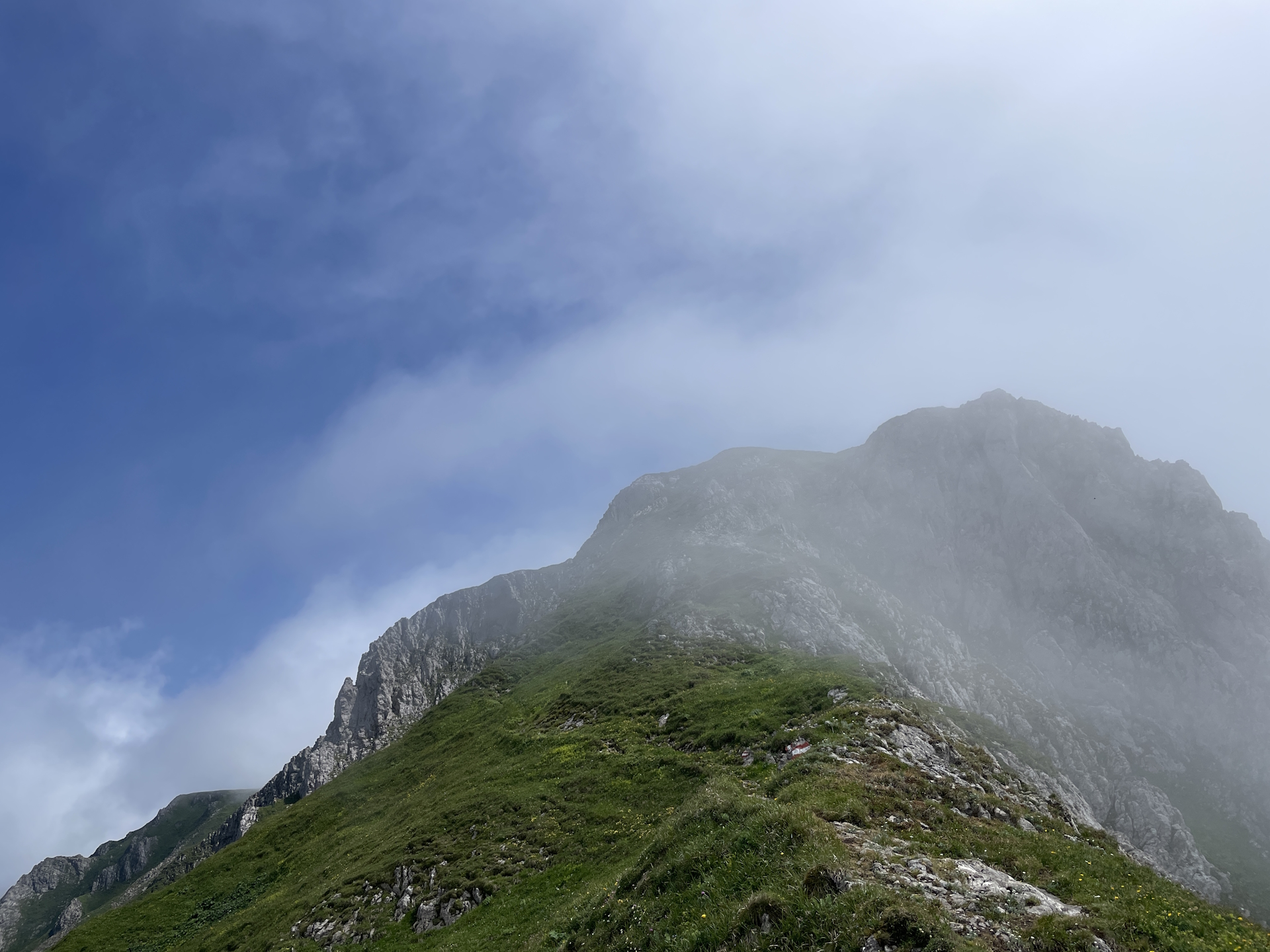 View back on the trail coming from <i>Reichensteinhütte</i>