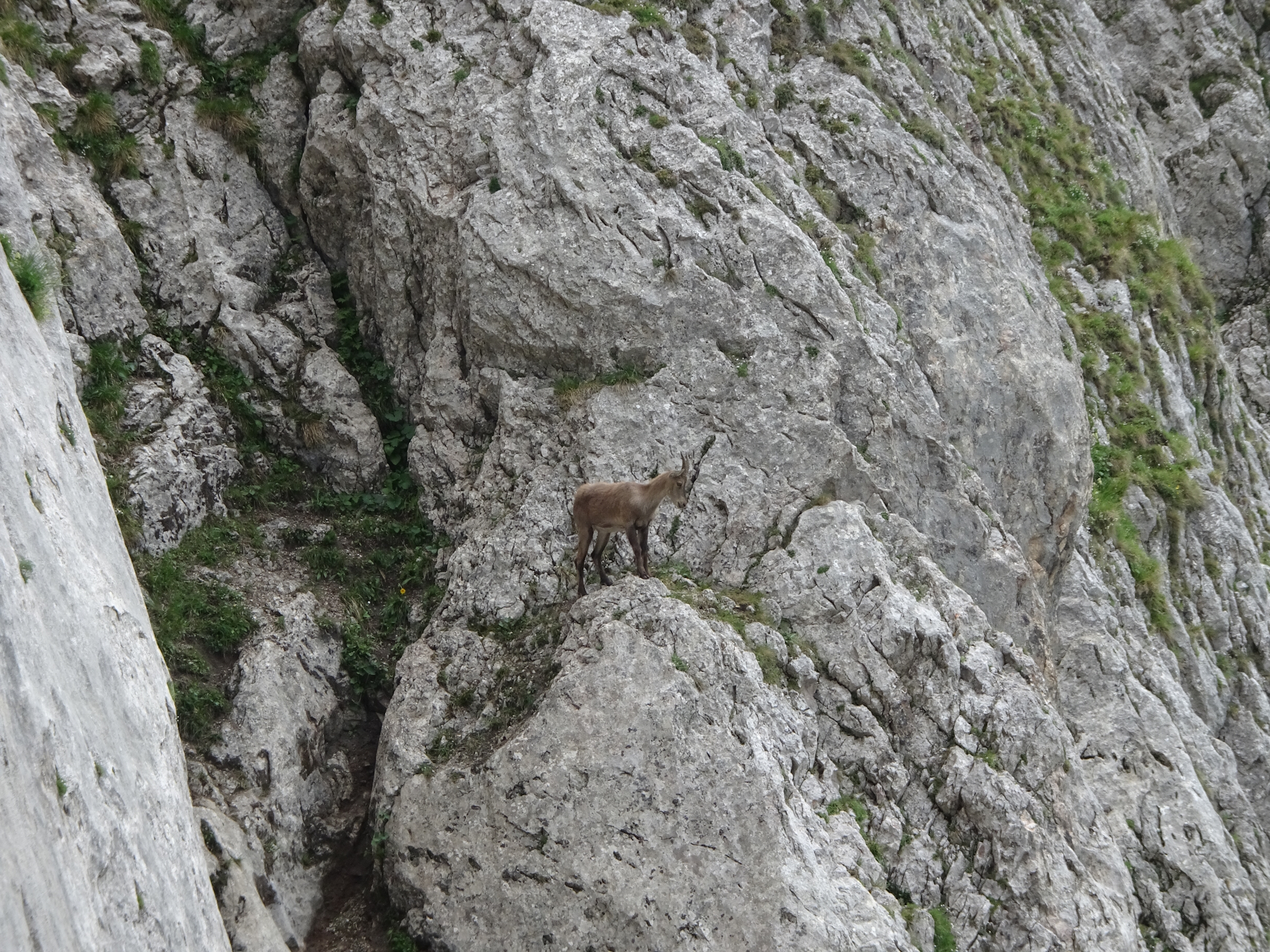 The youngsters are watching from an elevated position...