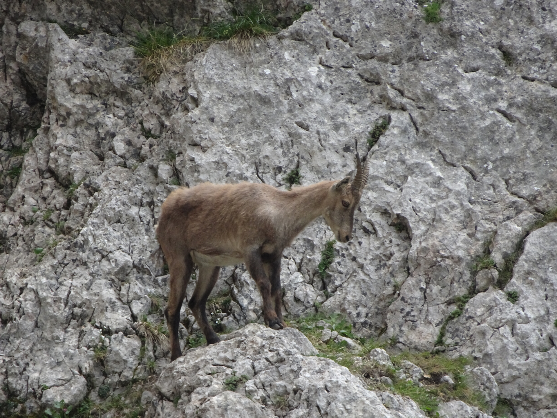 Robert being observed by the owner of the region...