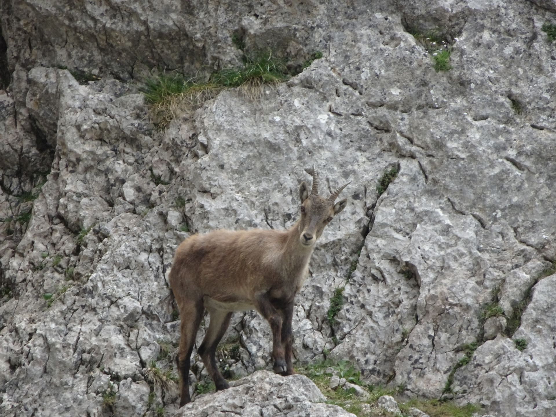 And now he spotted me...