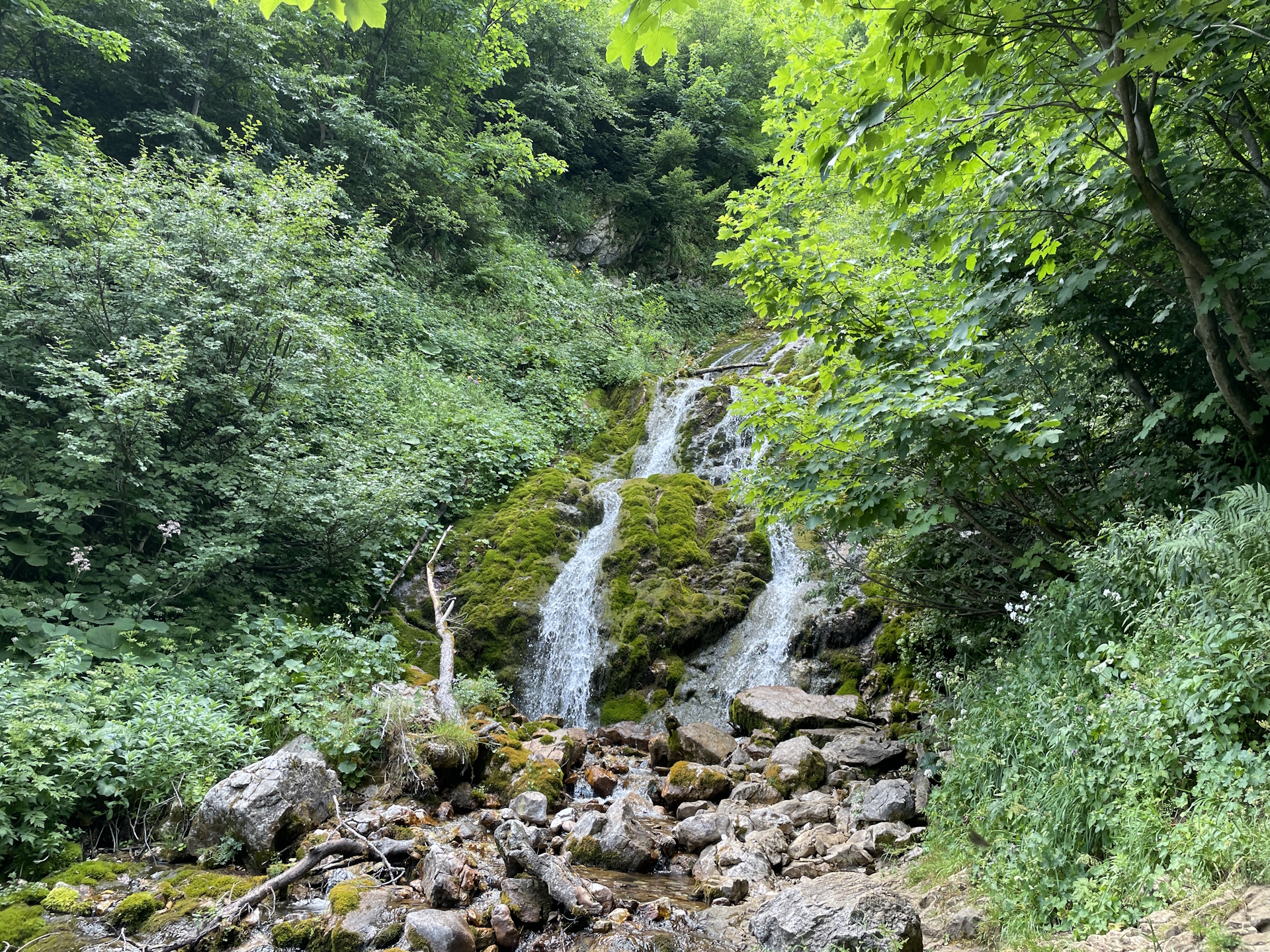 The nice waterfall next to the trail