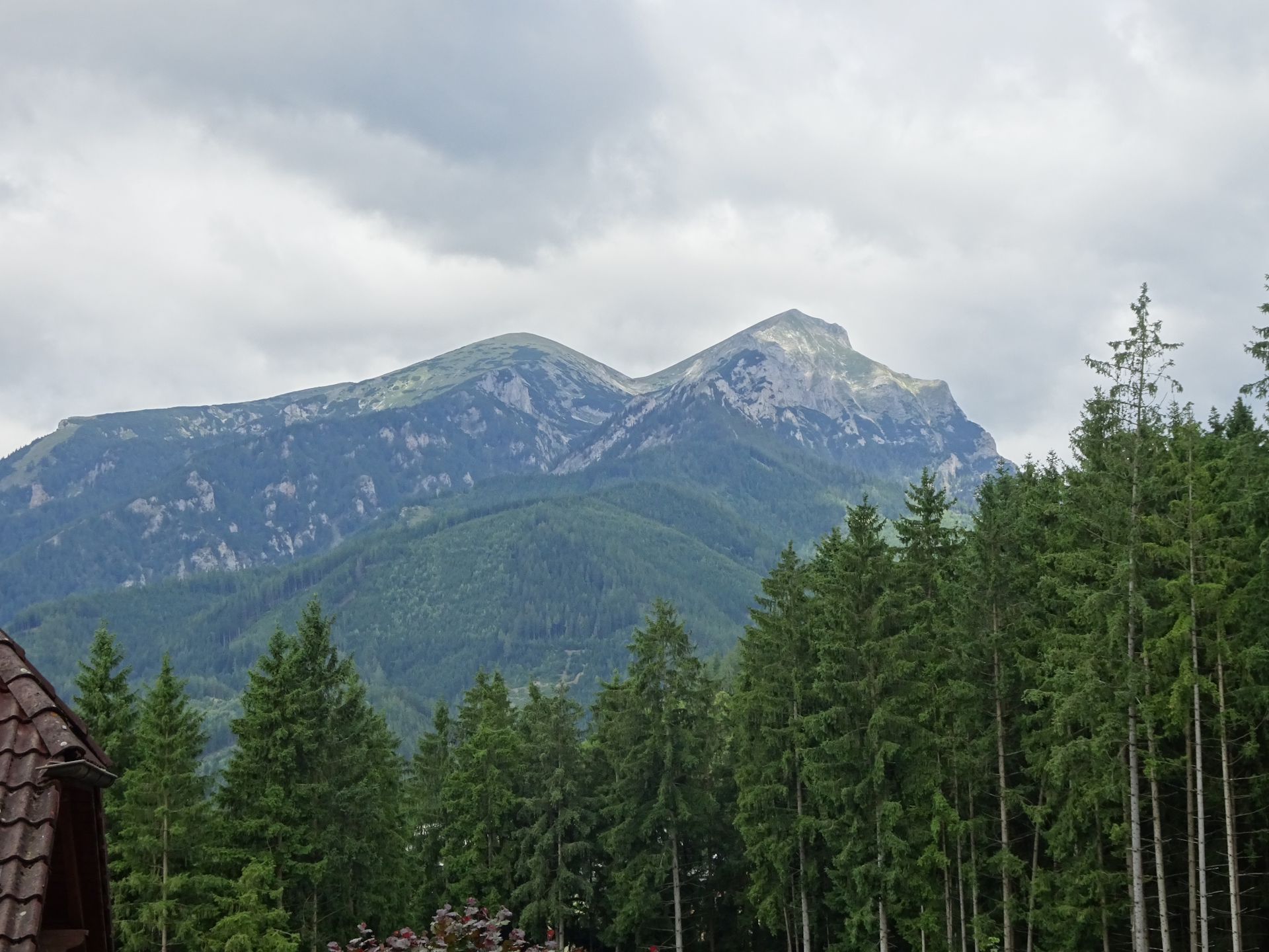 Impressive view up to <i>Reichenstein</i> from the trail
