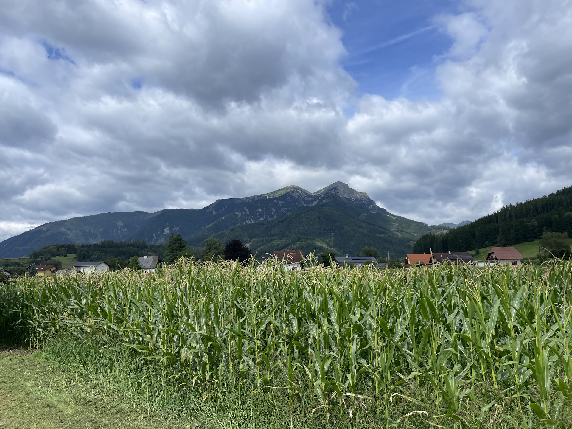 Impressive views towards <i>Reichenstein</i> from the trail