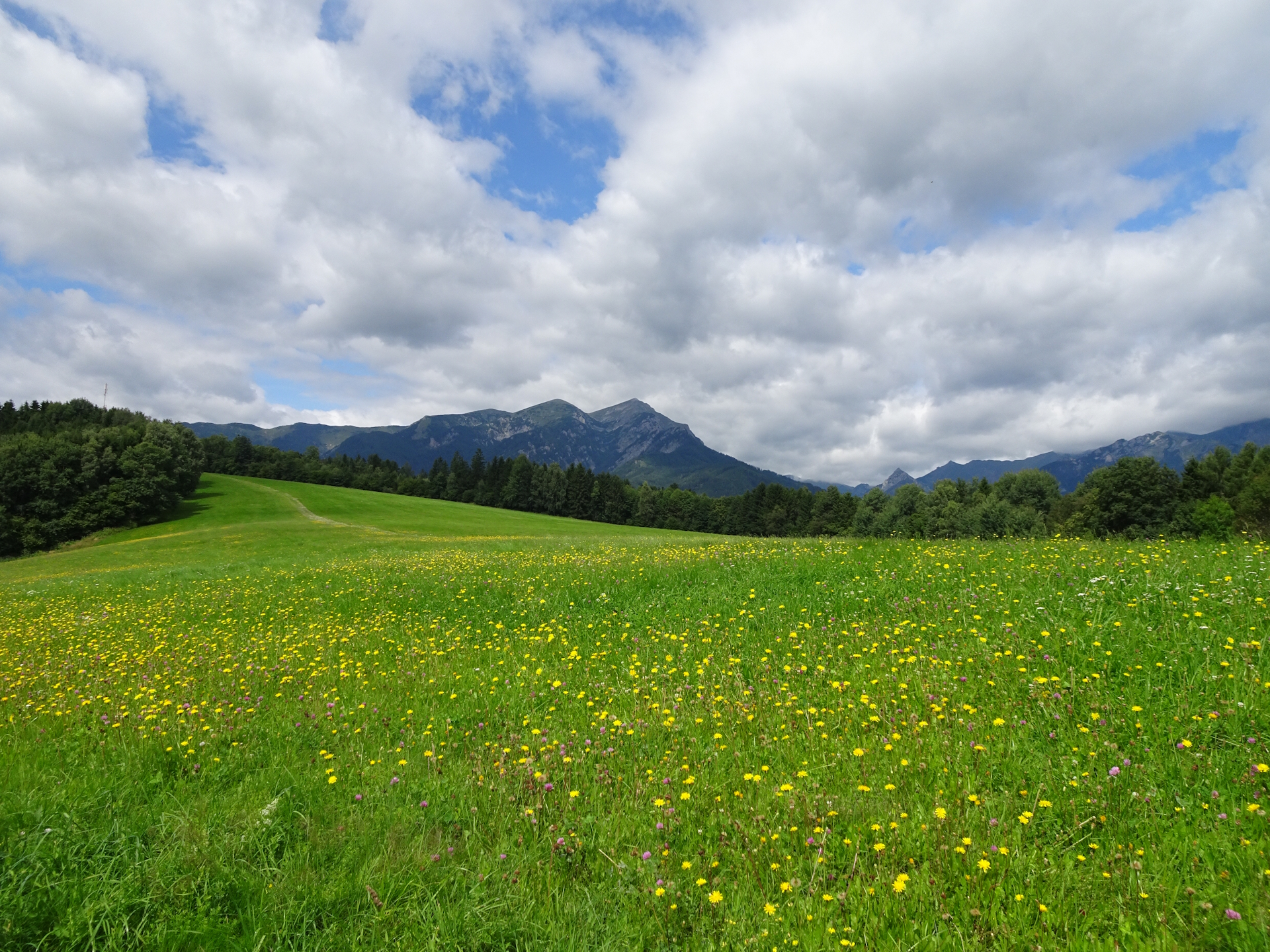 Colorful trail towards <i>Obergausendorf</i>