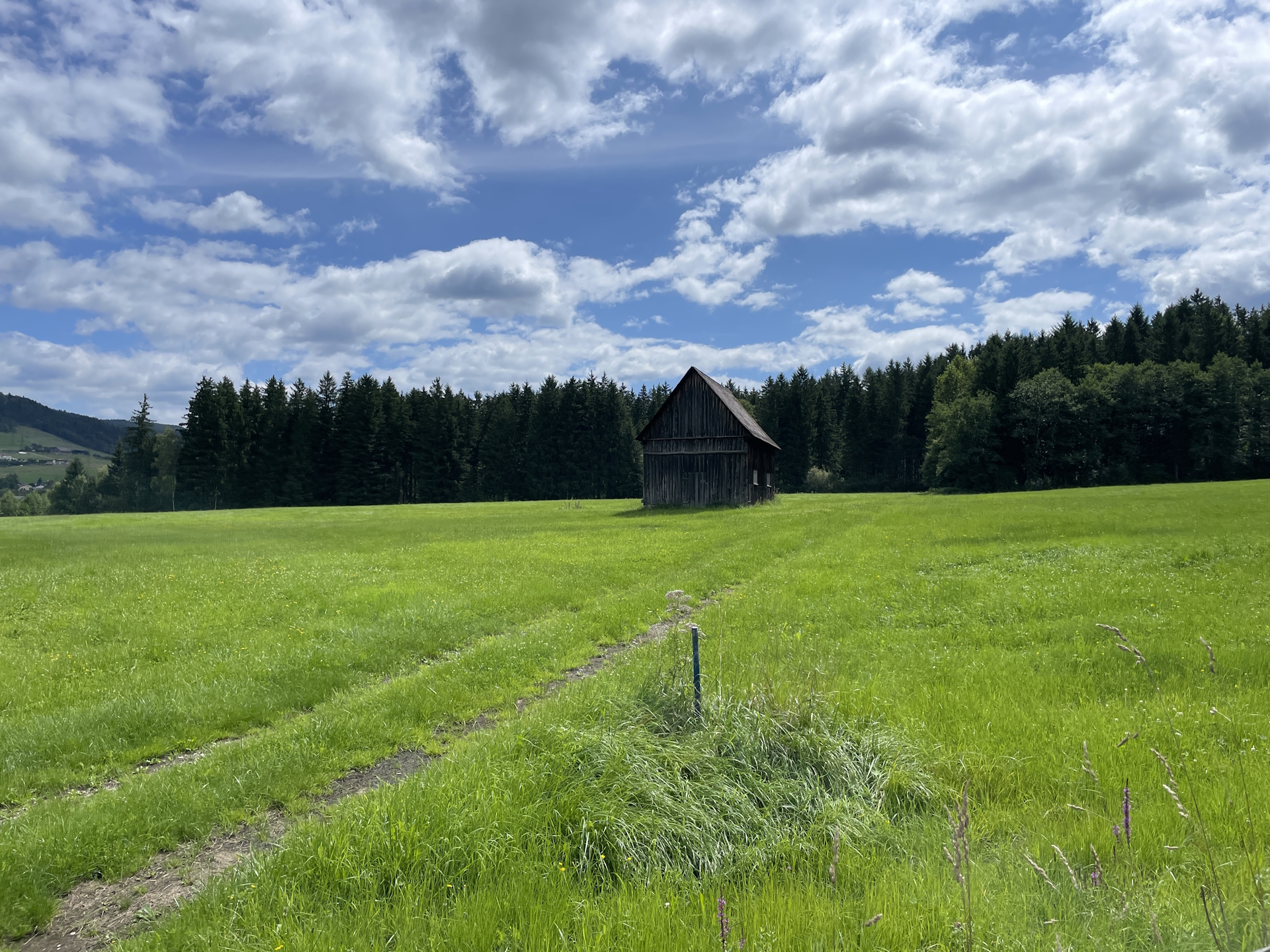On the trail towards <i>Trabocher See</i> after leaving <i>Obergausendorf</i>