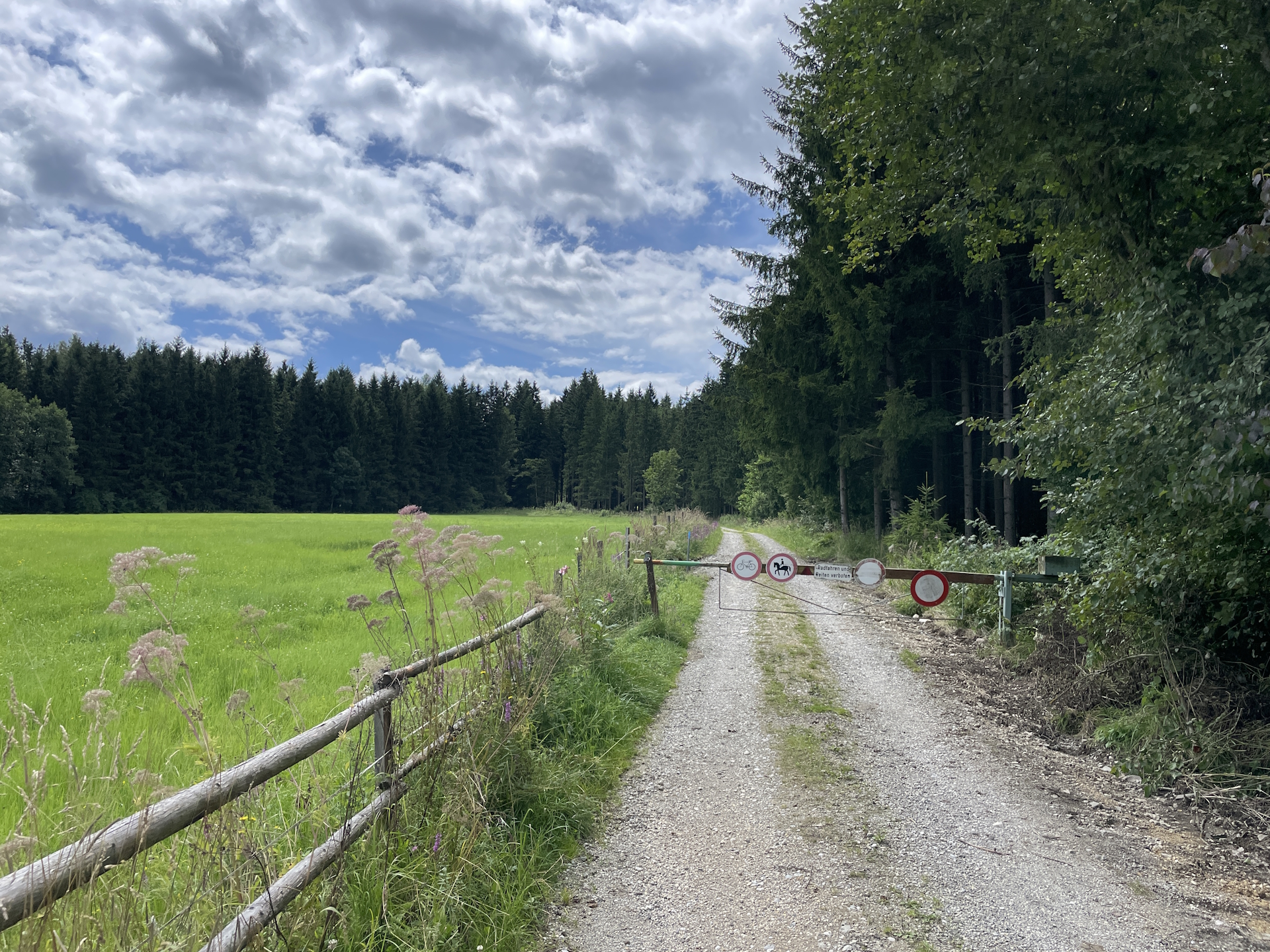 Following the gravel road towards <i>Trabocher See</i>