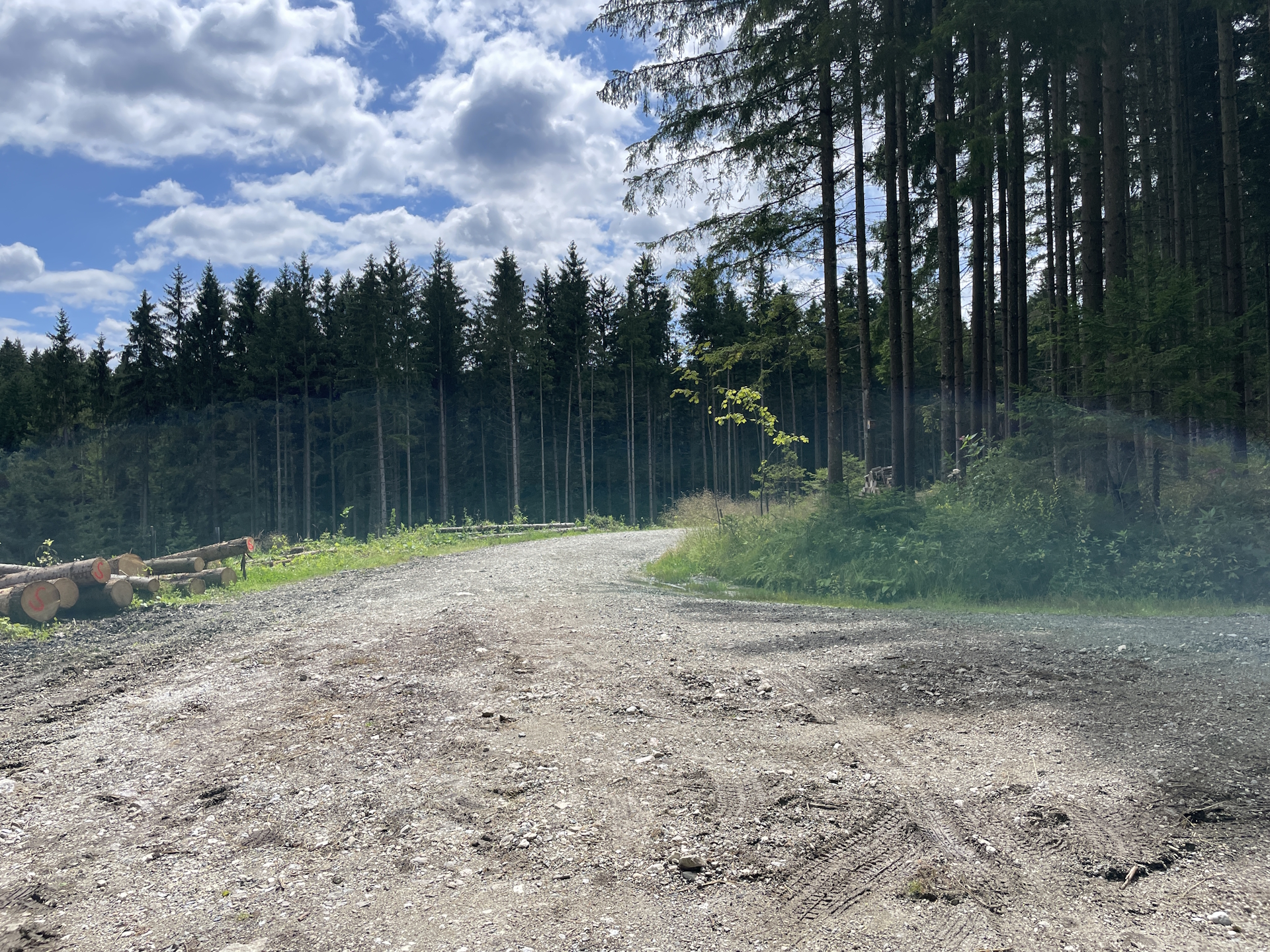 No markings on the trail... Keep straight here!