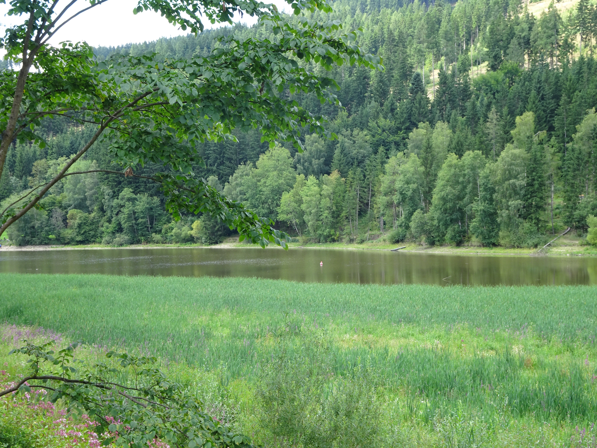 Another view on the beautiful <i>Trabocher See</i>