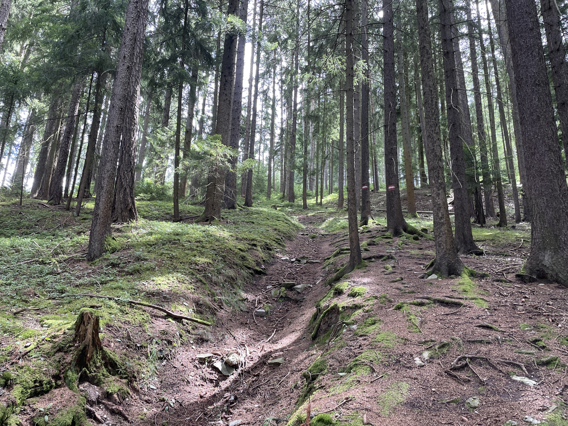 On the steep trail after the <i>Trabocher See</i>