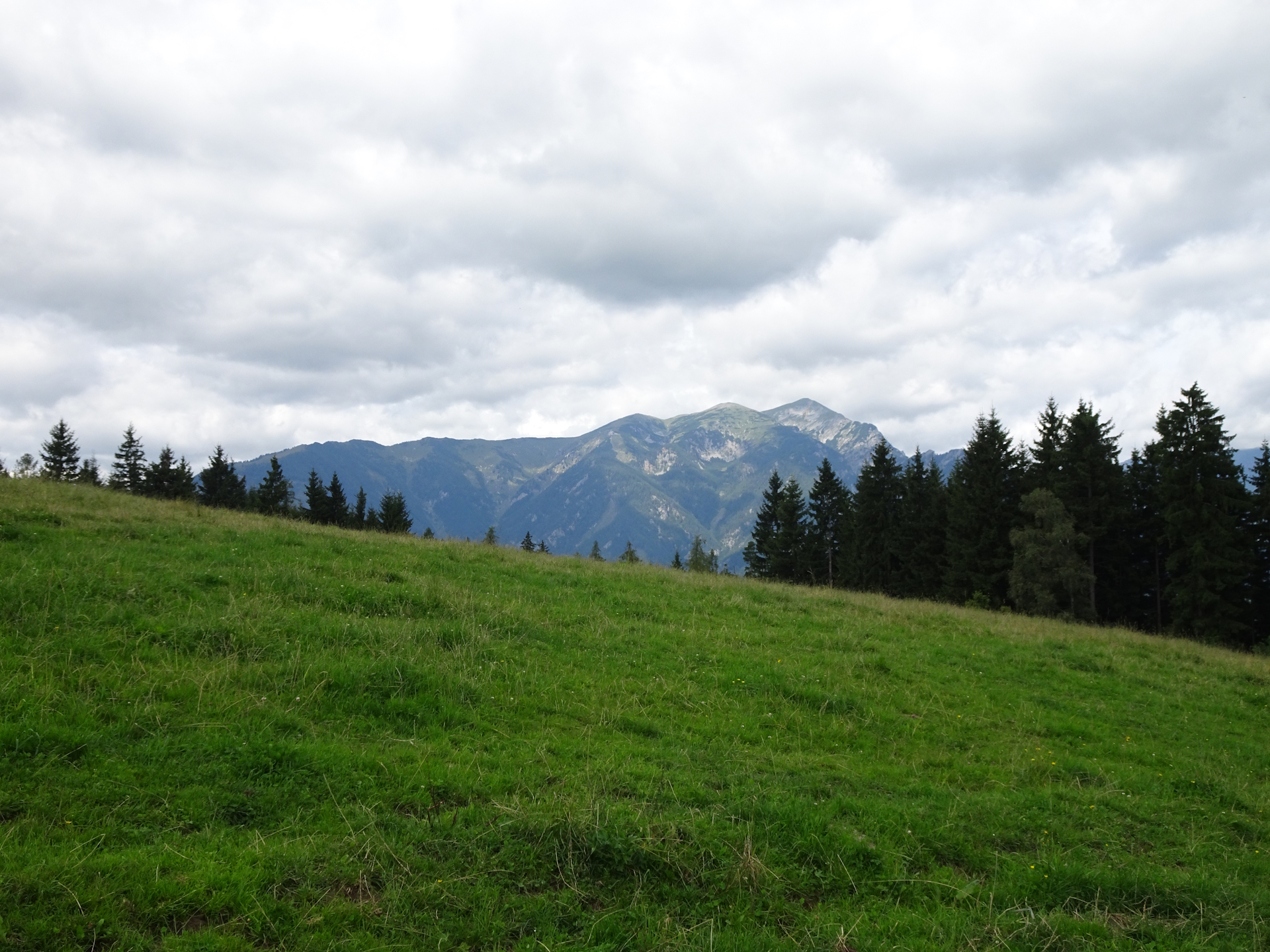 Scenic view from the meadow of <i>Schafberg</i>