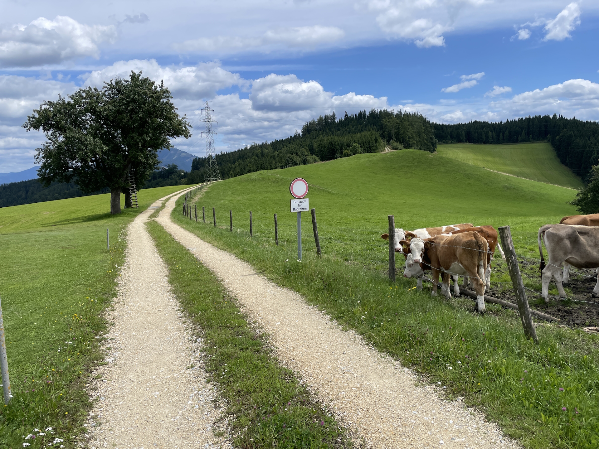 On the gravel road towards <i>Leoben</i>