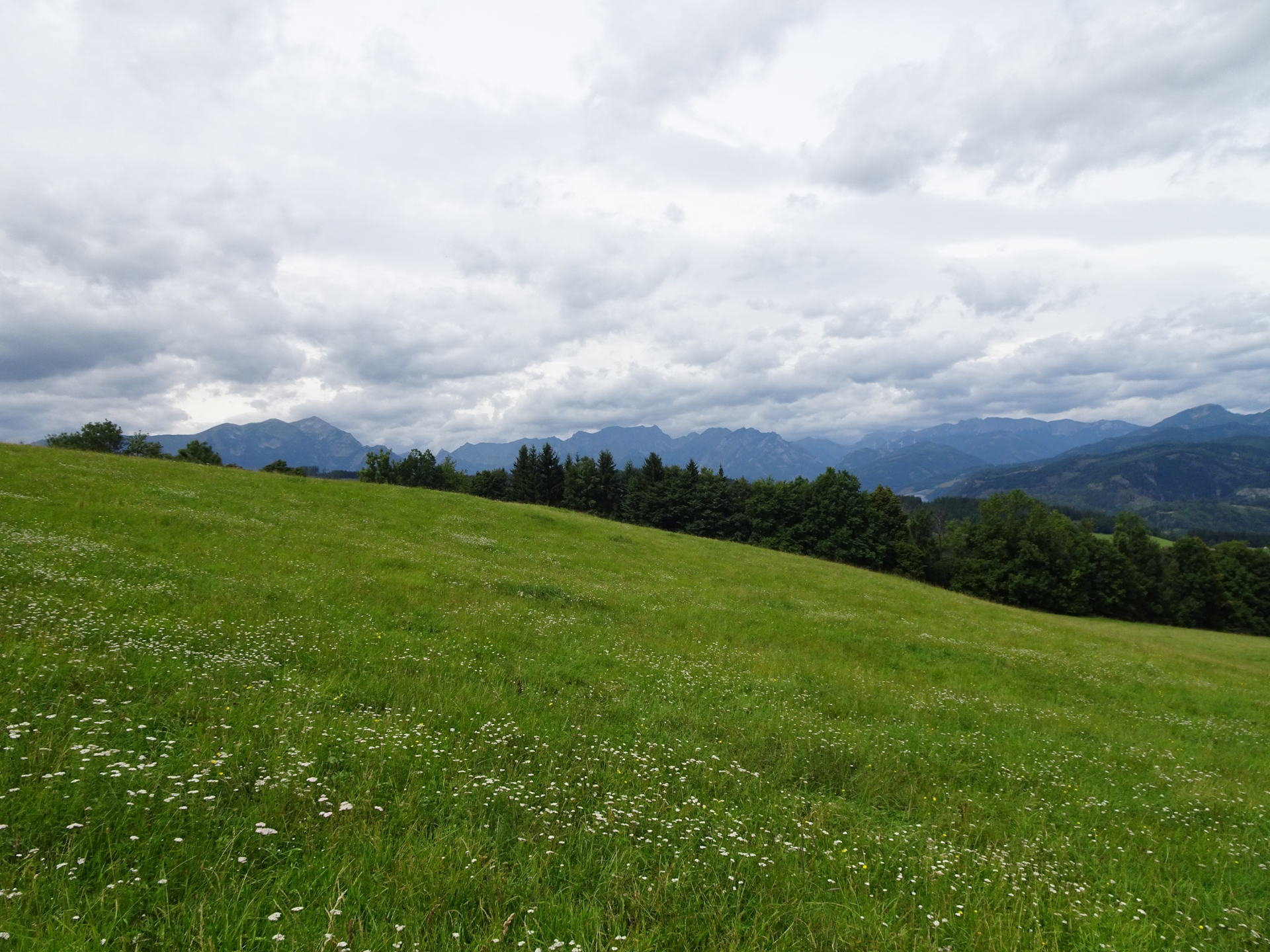 Crossing beautiful meadows