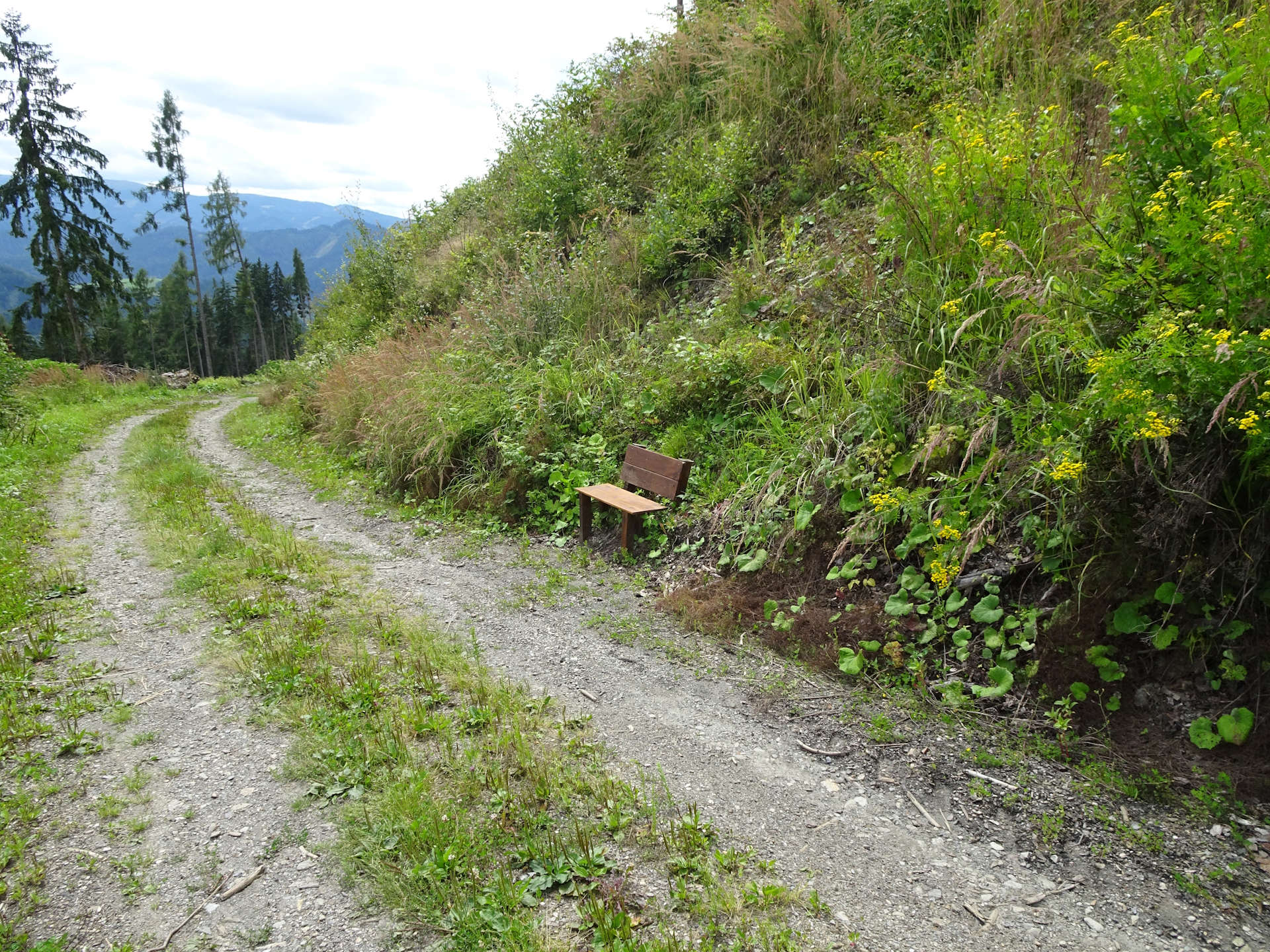 Rest area at the view point of the recommended detour
