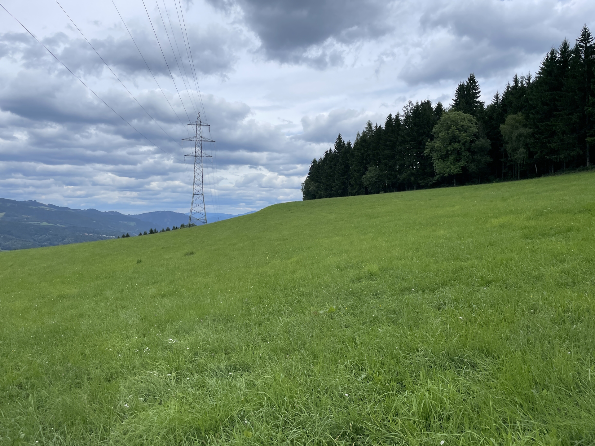 Unmarked trail through the meadow towards <i>Leoben</i>