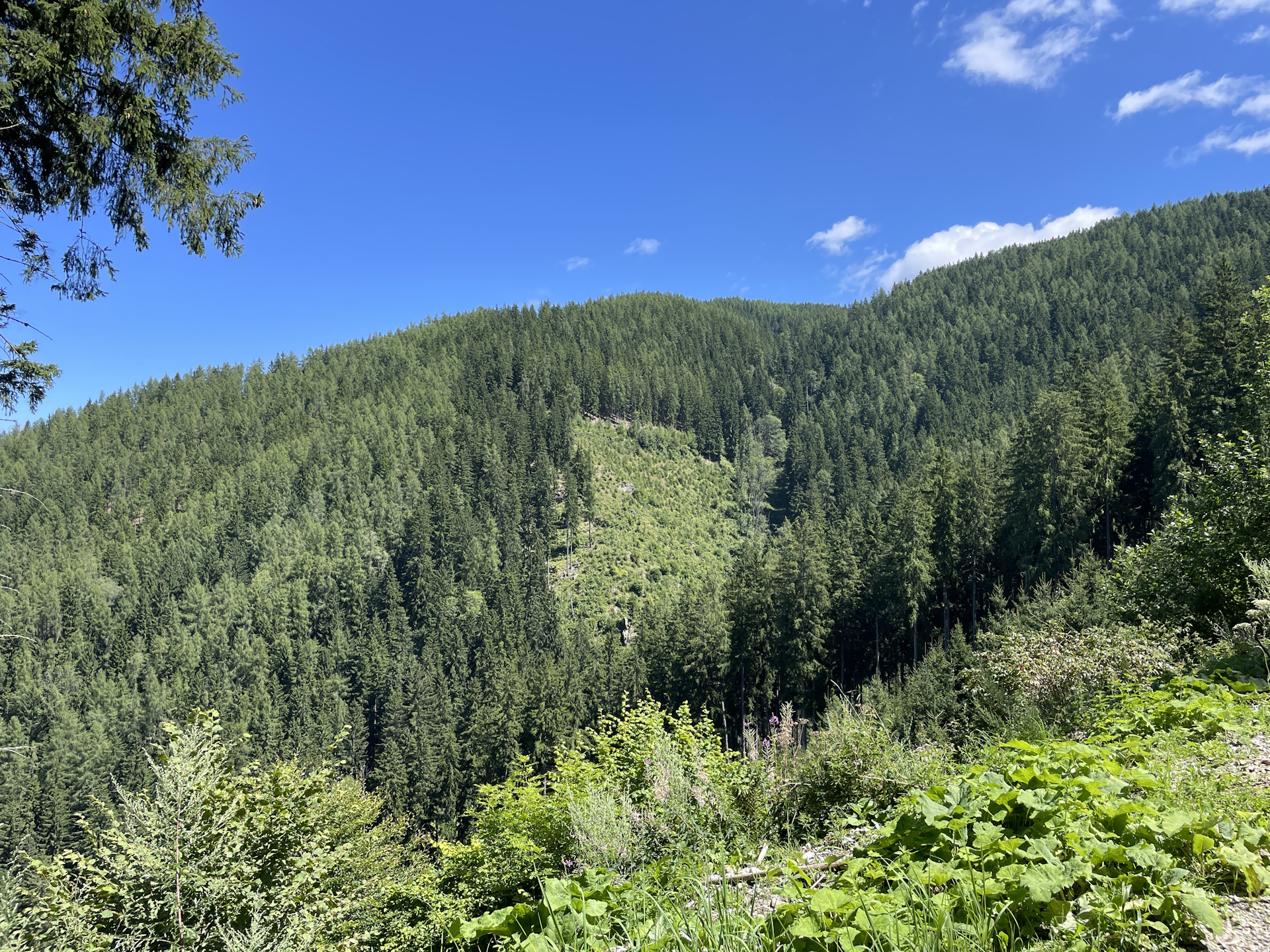 On the trail towards <i>Schmollhube</i>