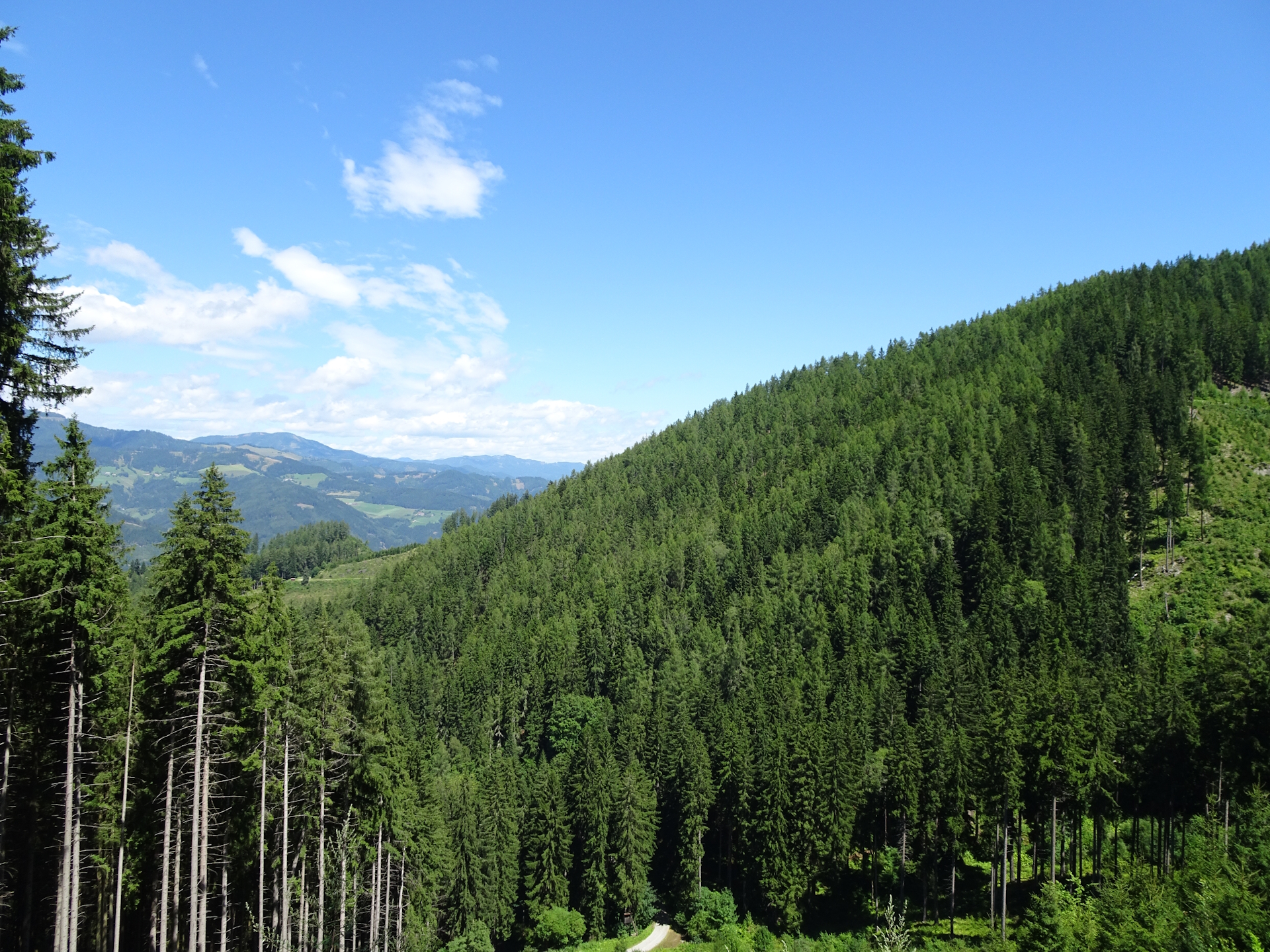 On the trail towards <i>Schmollhube</i>