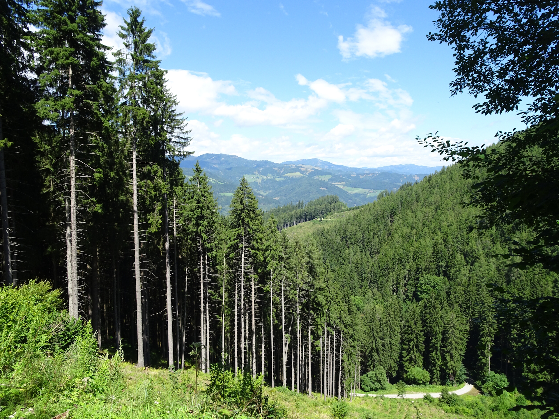 On the trail towards <i>Schmollhube</i>