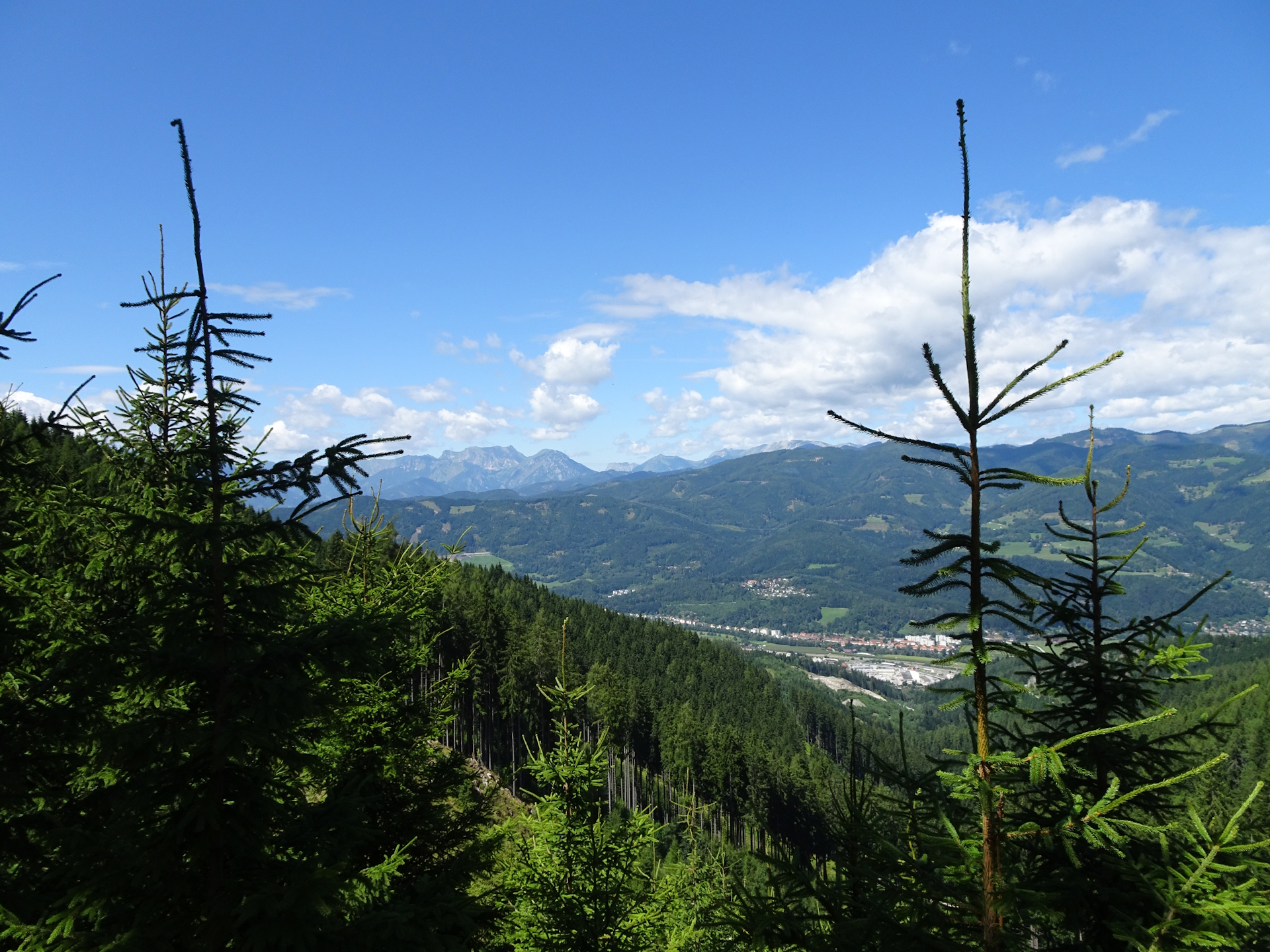 View back from the trail towards <i>Schmollhube</i>