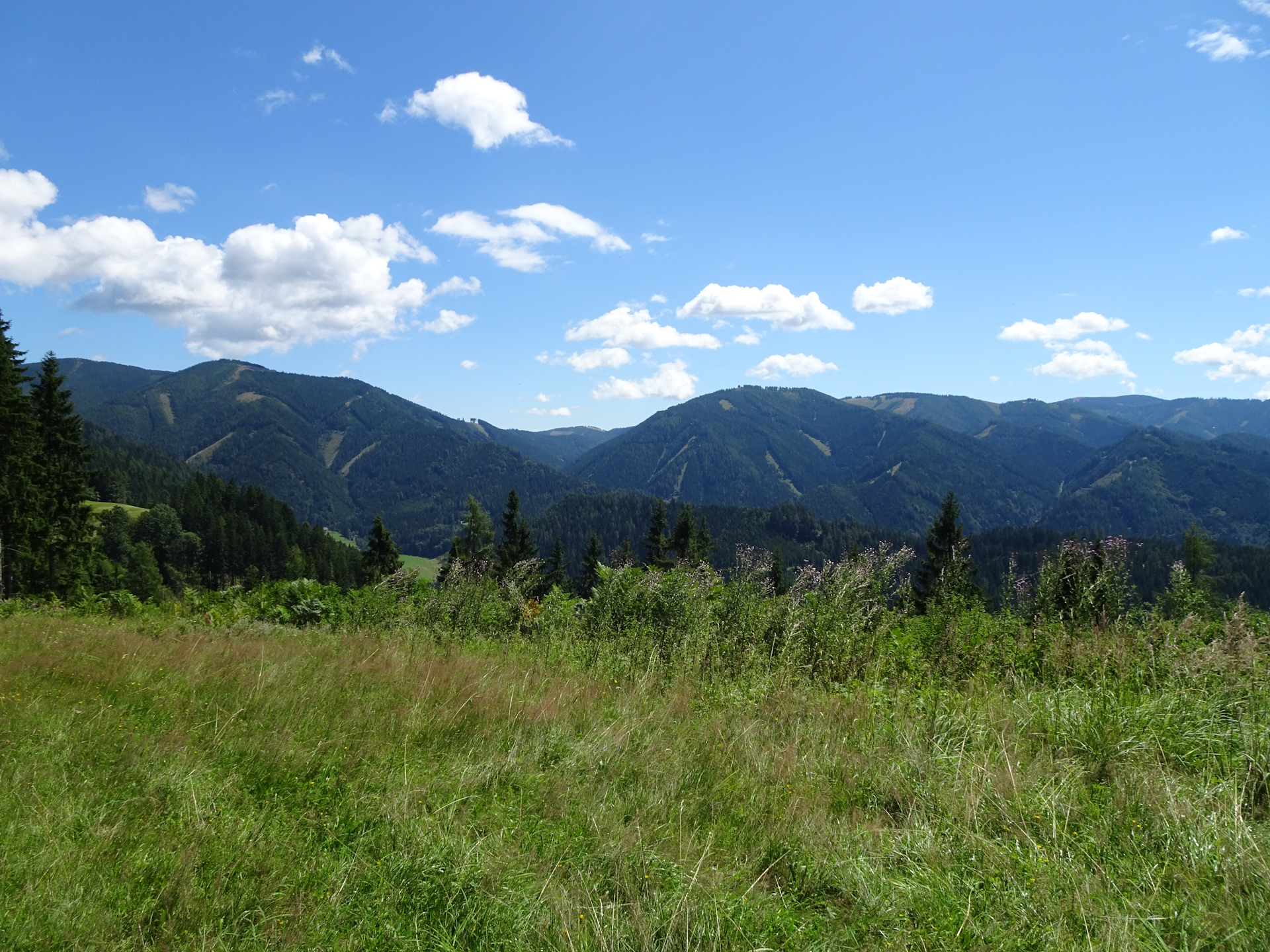 On the trail towards <i>Schmollhube</i>