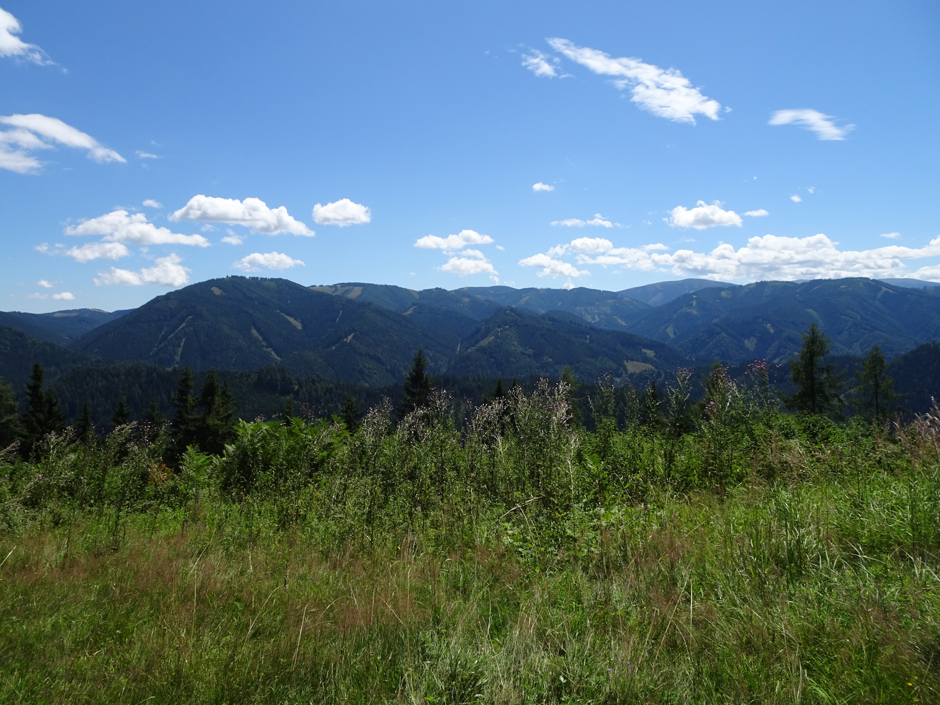 On the trail towards <i>Schmollhube</i>