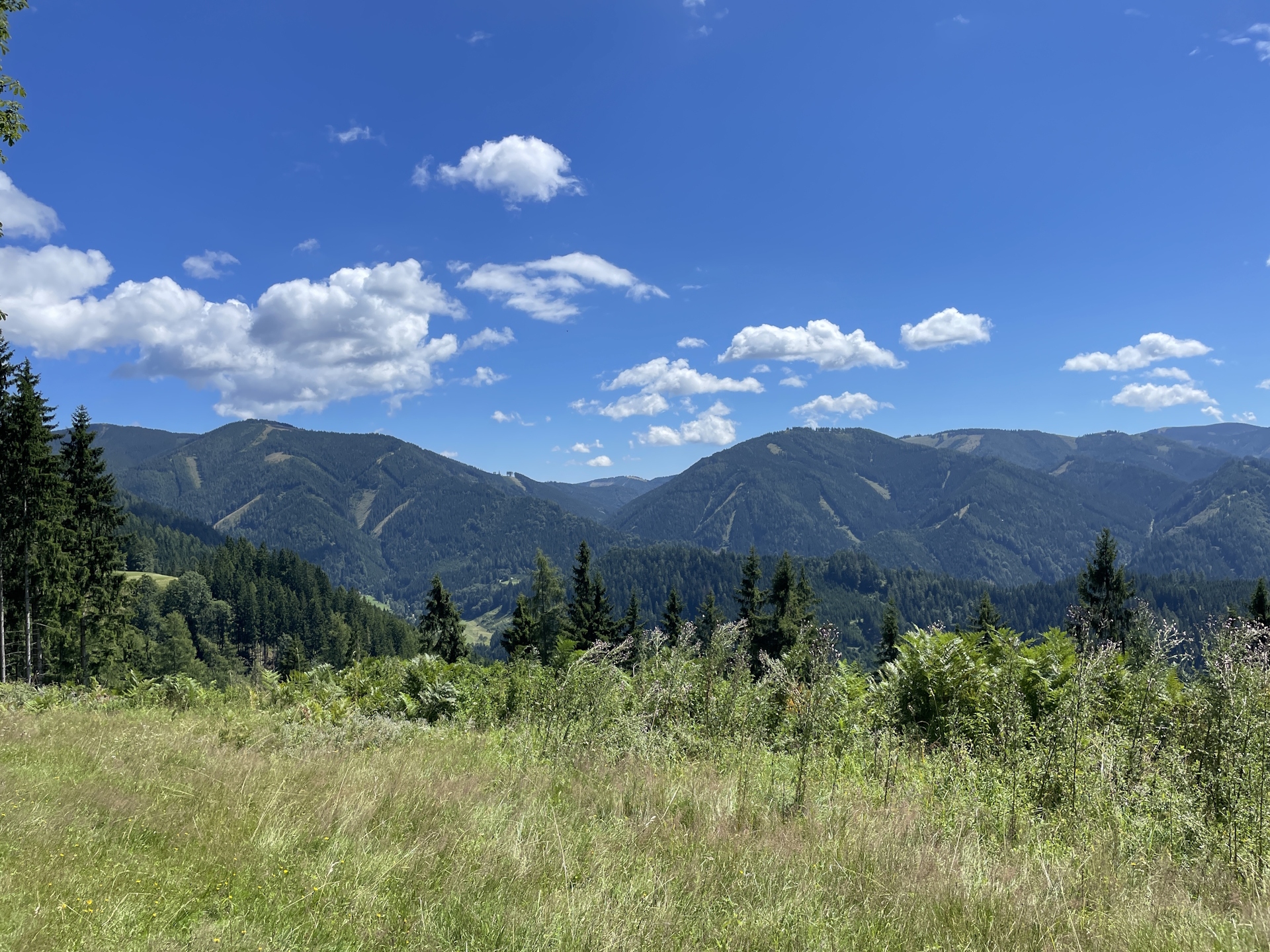 On the trail towards <i>Schmollhube</i>