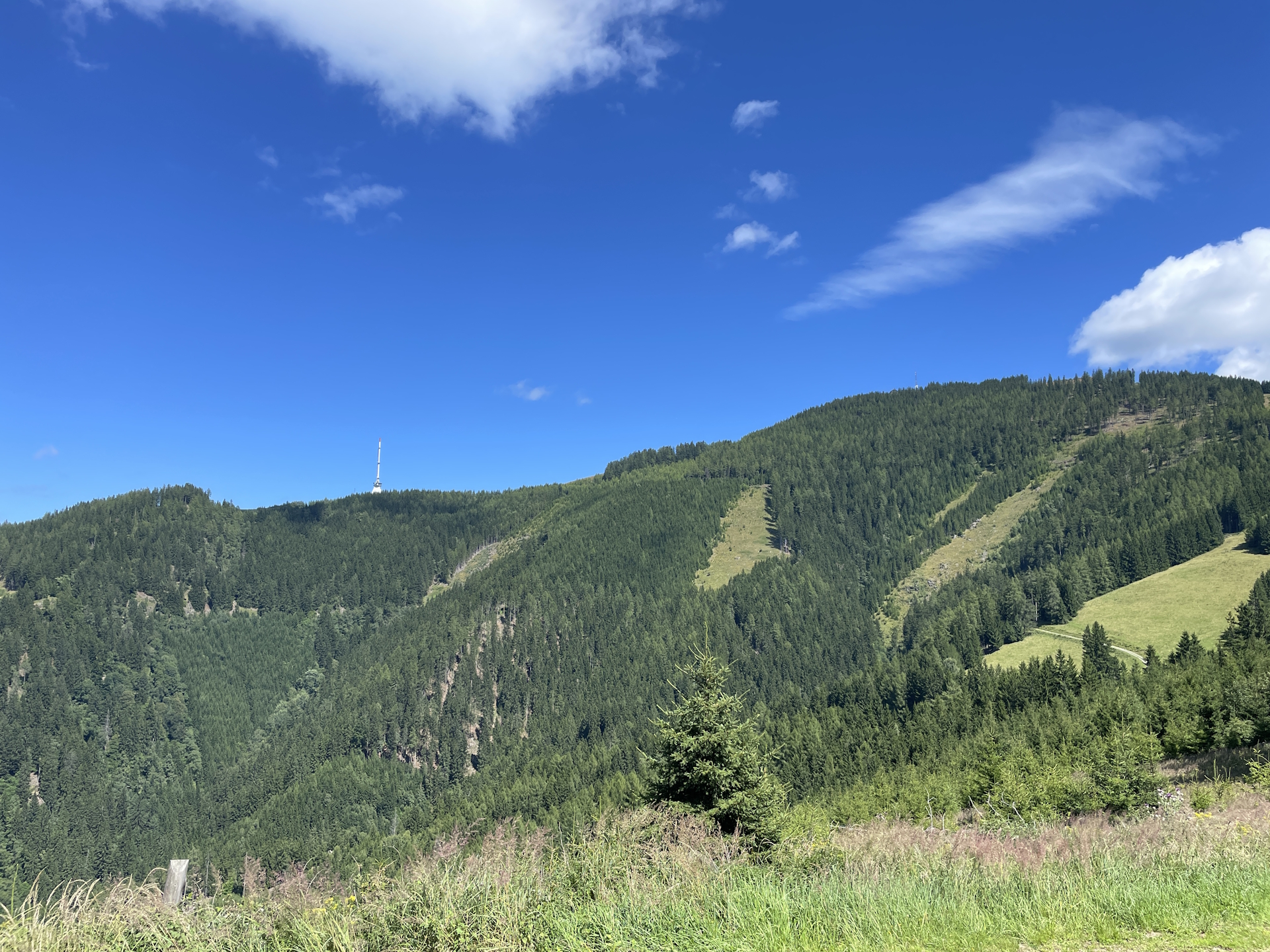 The <i>Mugel</i> seen from the trail towards <i>Gstattmoaralm</i>