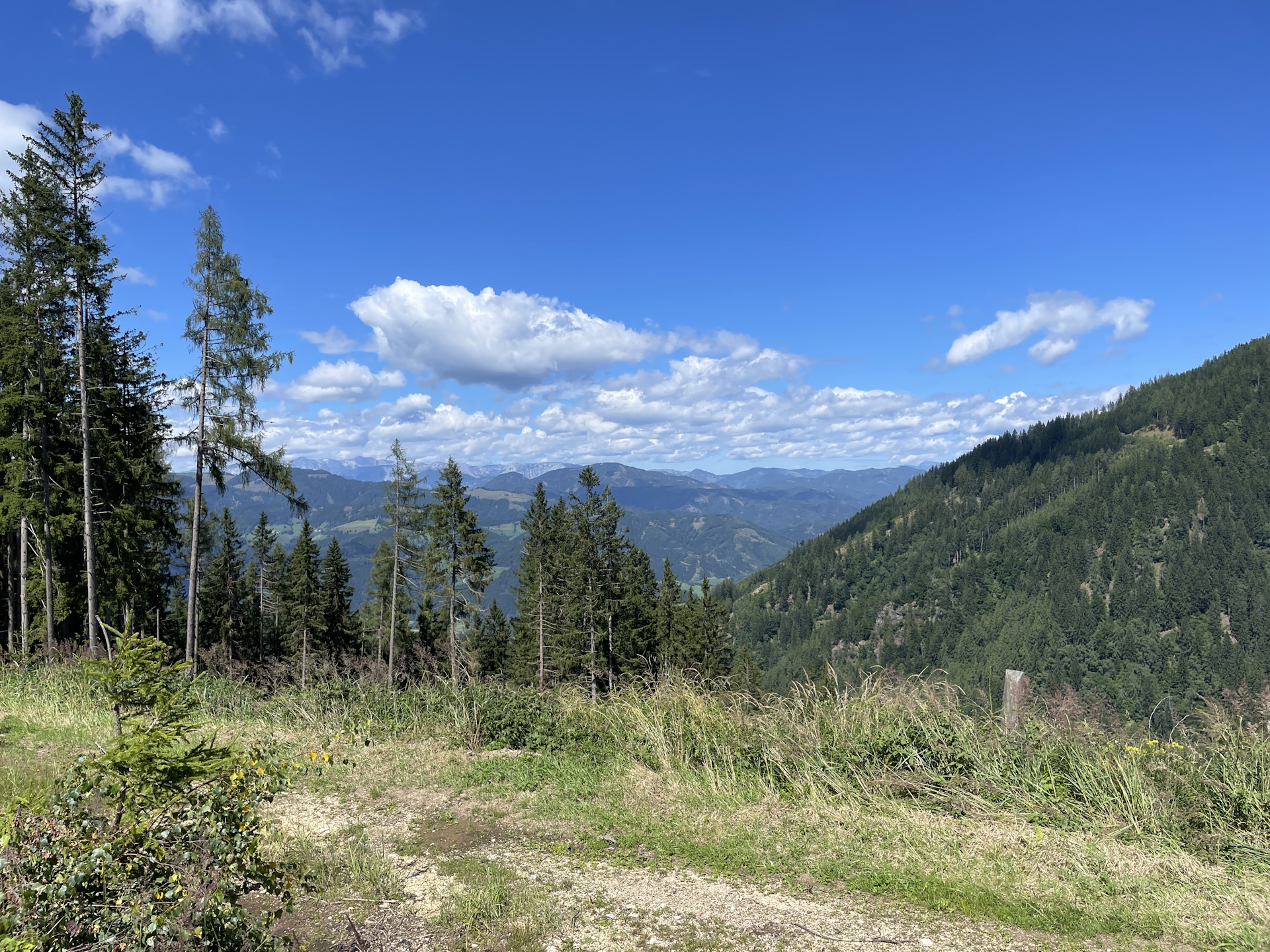 View from the trail towards <i>Gstattmoaralm</i>