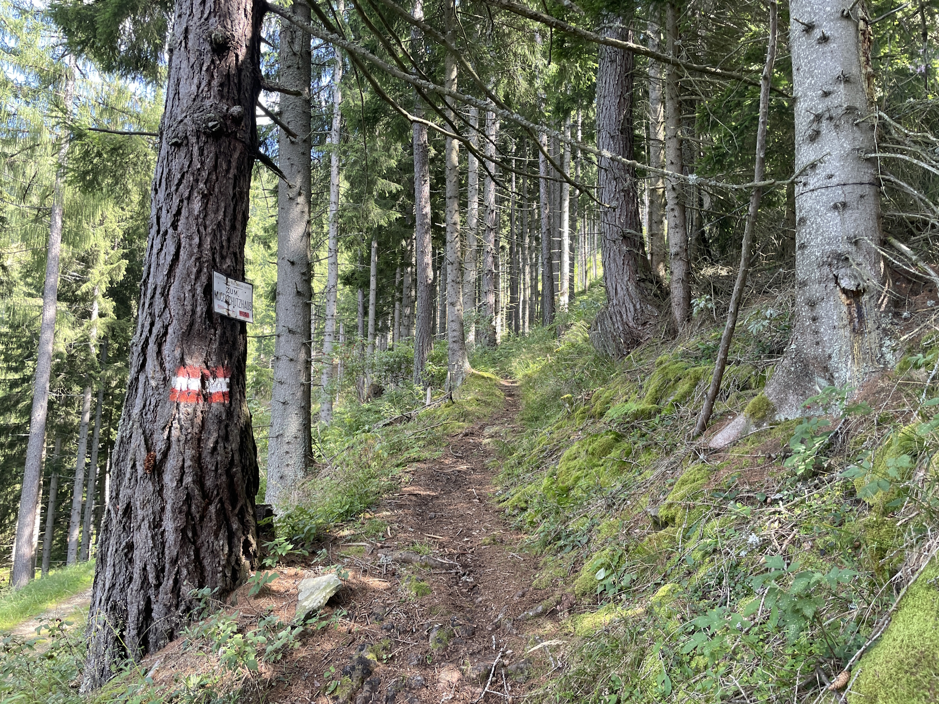 On the trail up to <i>Mugel</i>