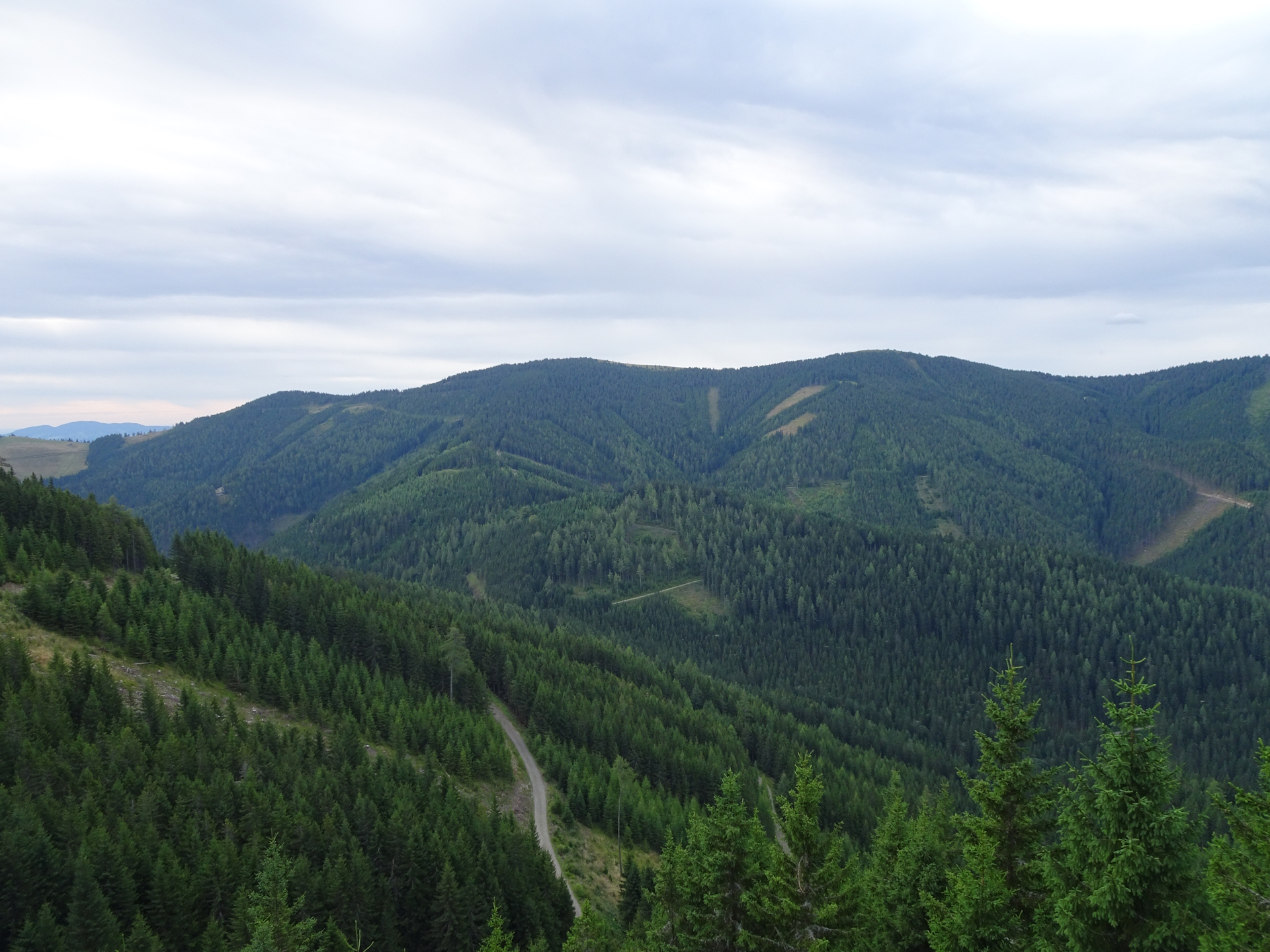 View towards <i>Hochalm</i>