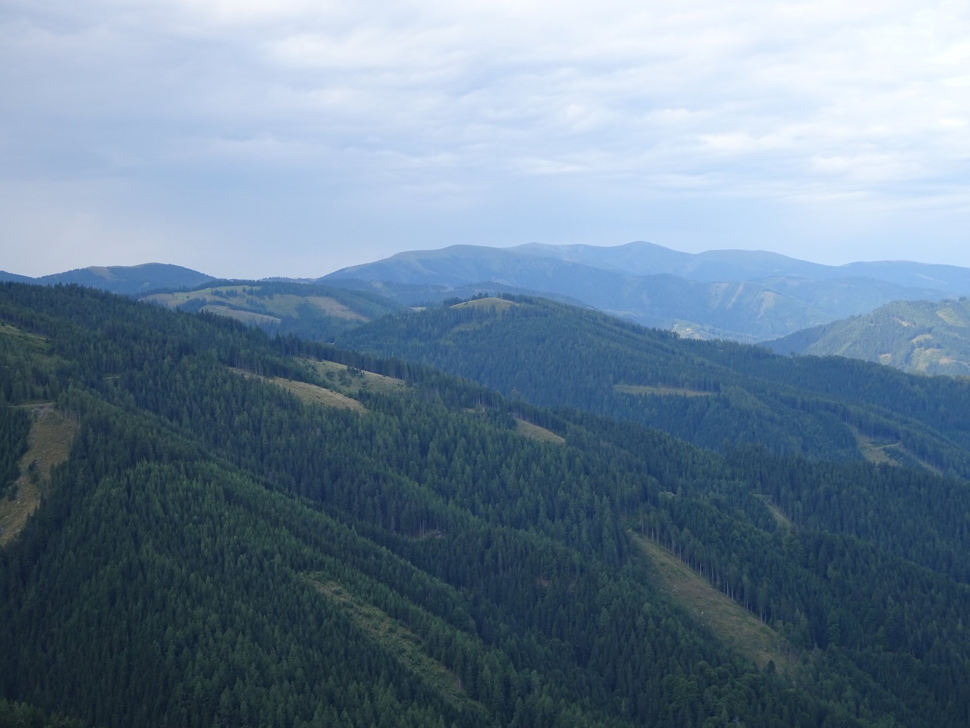 View towards <i>Hochalm</i>