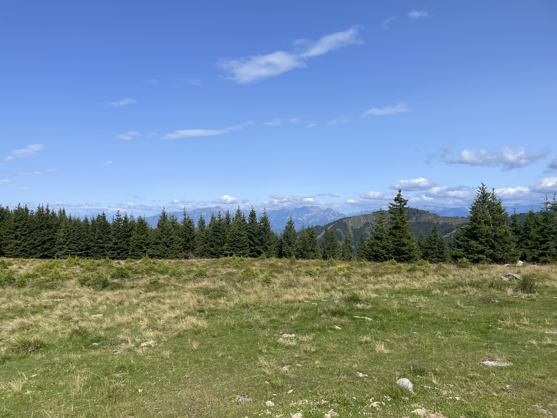 At the <i>Hochalpe</i>