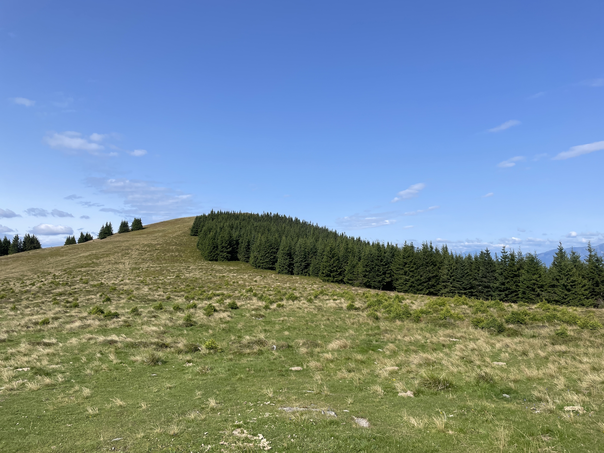 The <i>Wetterkogel</i> seen from <i>Hochalm</i>