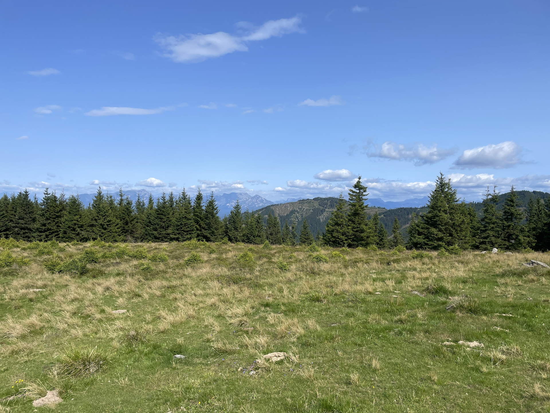 The <i>Mugel</i> seen from <i>Hochalm</i>