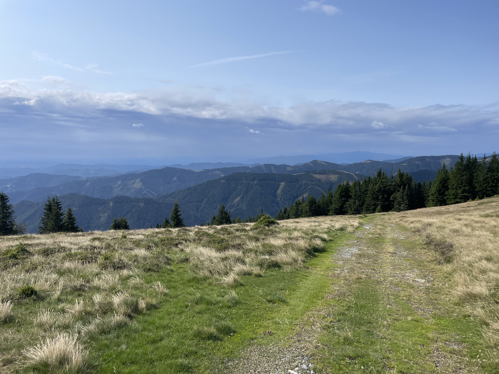 On the first few meters of the shared trail between 02 and 05