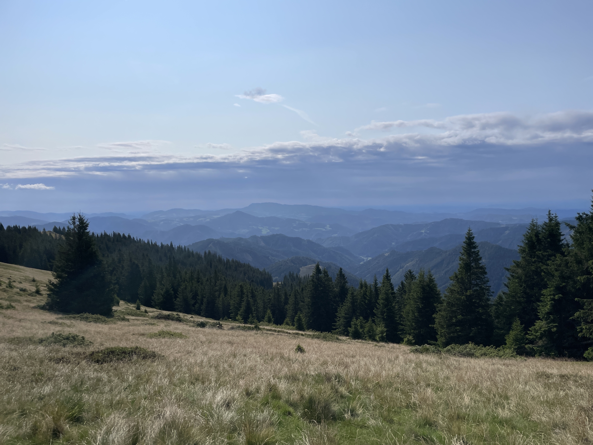 View from the trail towards <i>Hochalm</i>