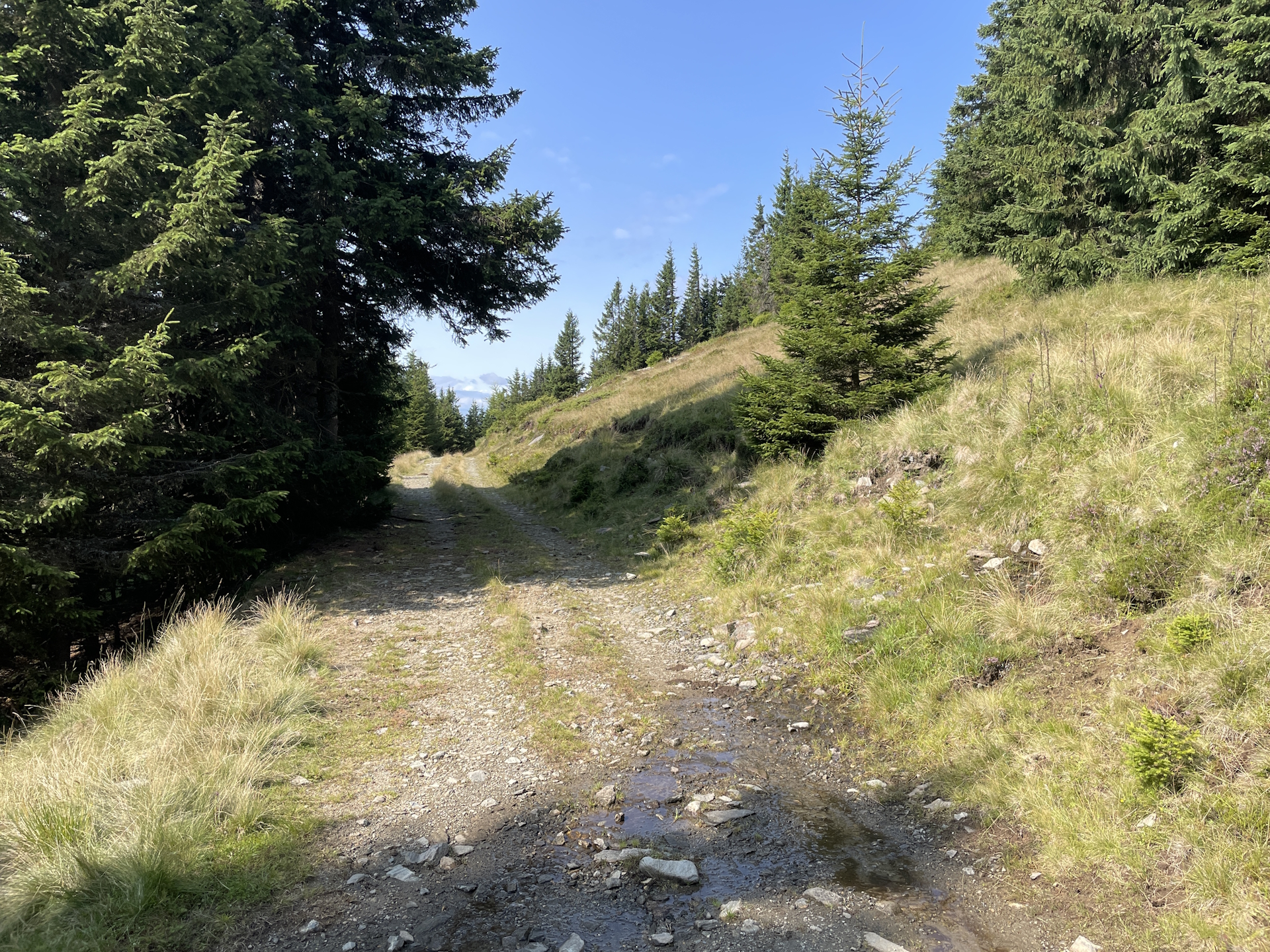 On the (easy) trail towards <i>Hochalm</i>