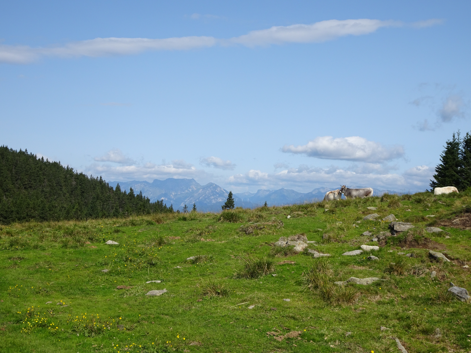 Scenic view from <i>Hochalm</i>