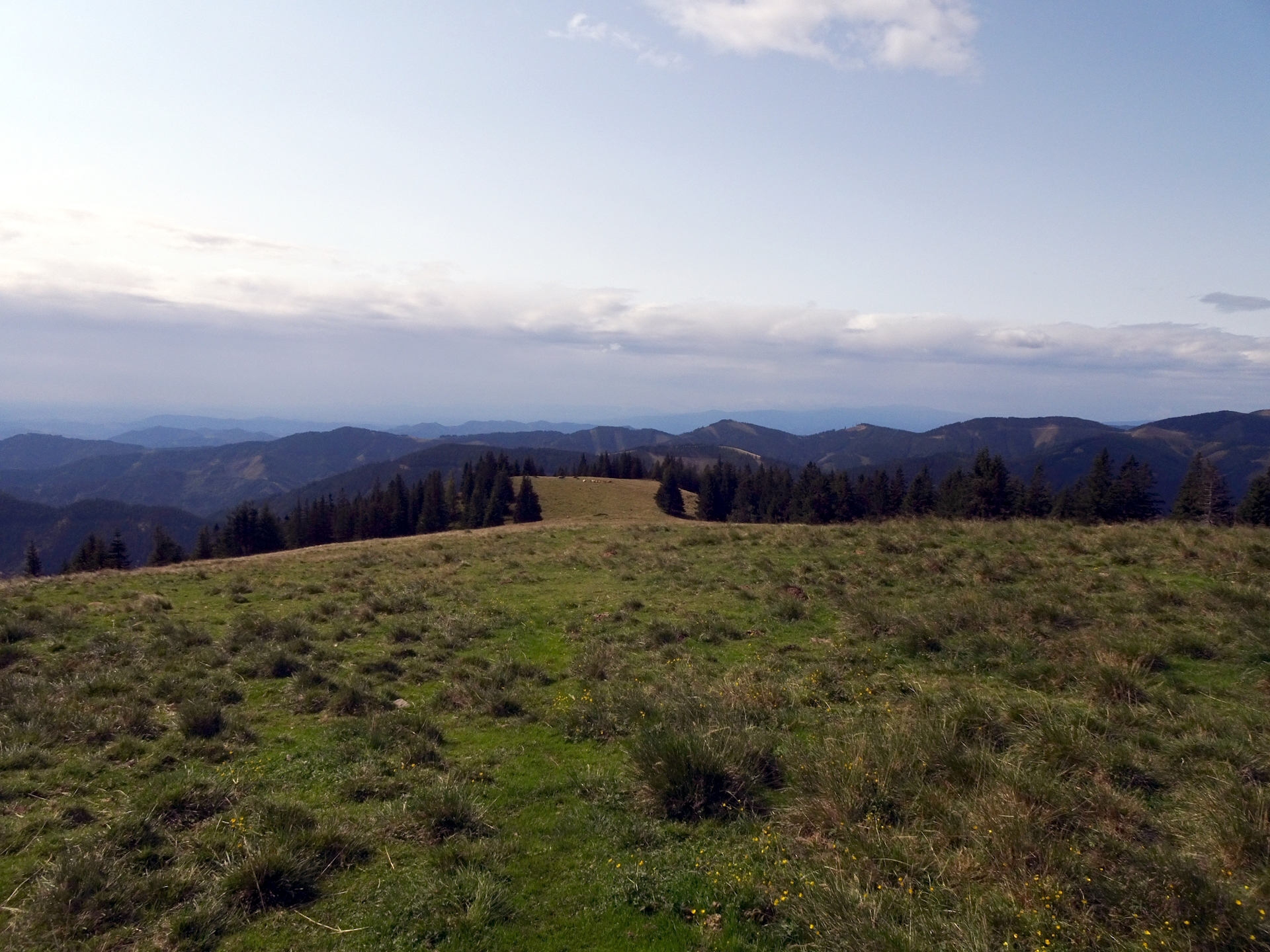 Follow this trail down