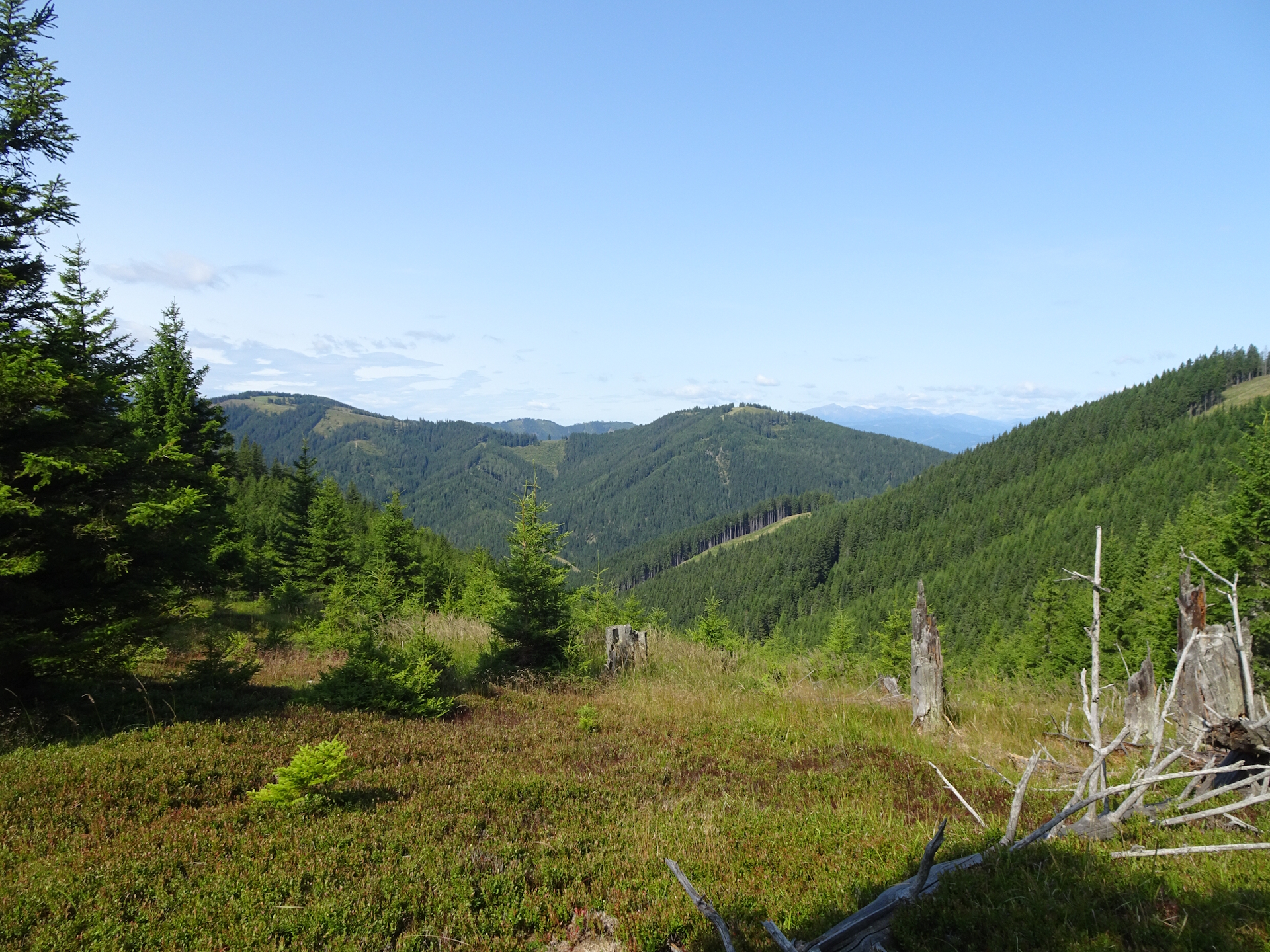 View from the trail towards <i>Almwirt</i>