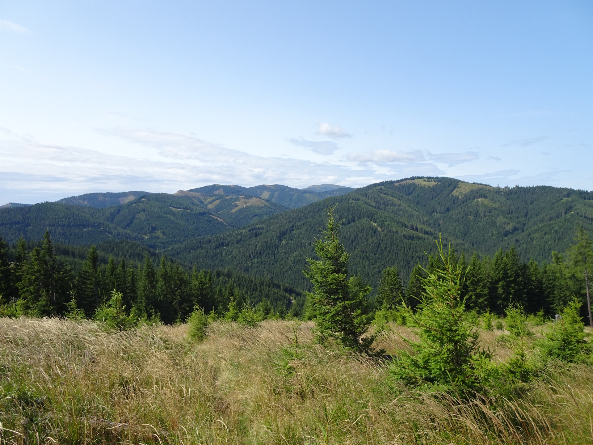 Scenic trail down to <i>Almwirt</i>
