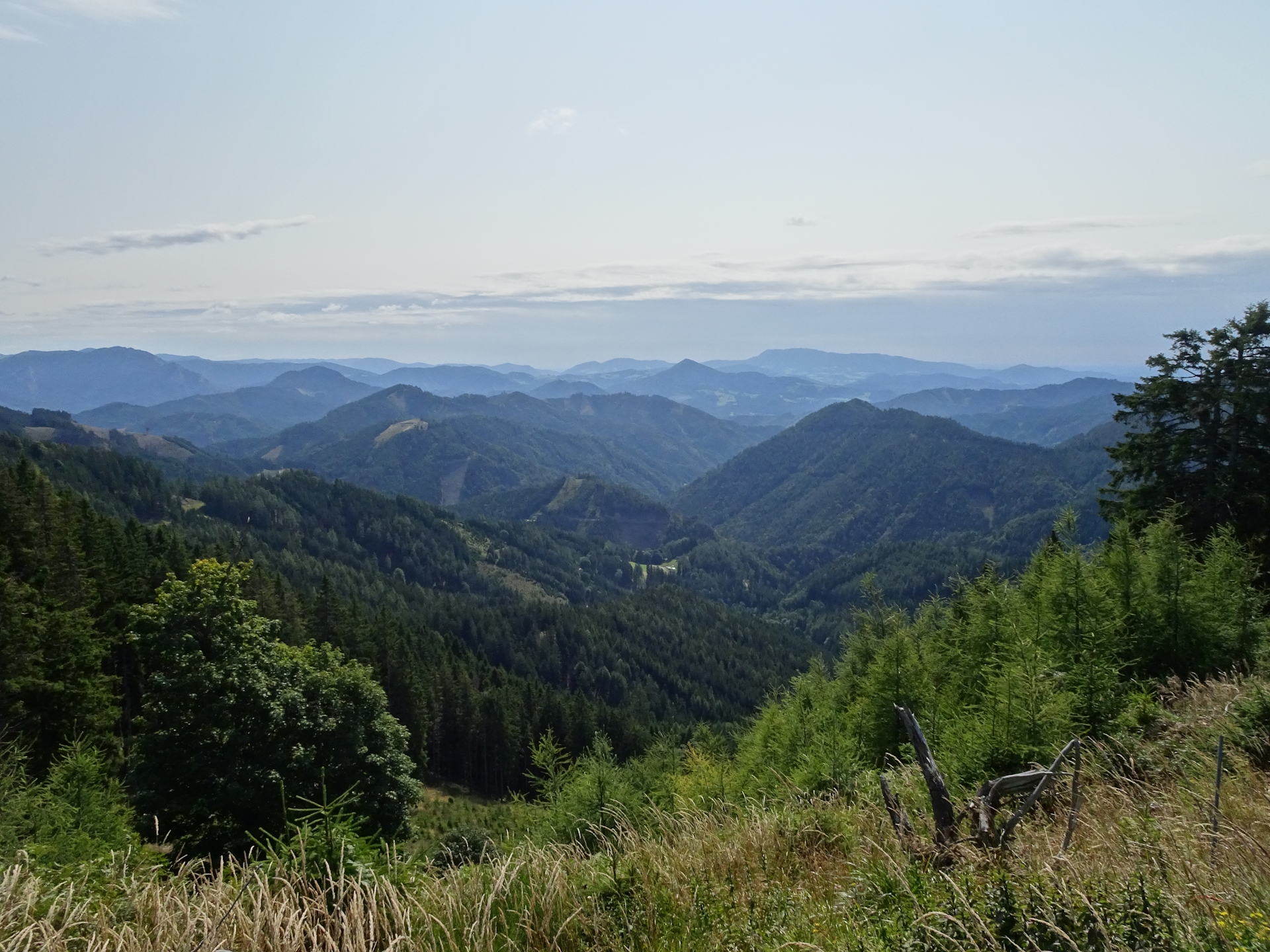 Scenic view from the trail to <i>Almwirt</i>