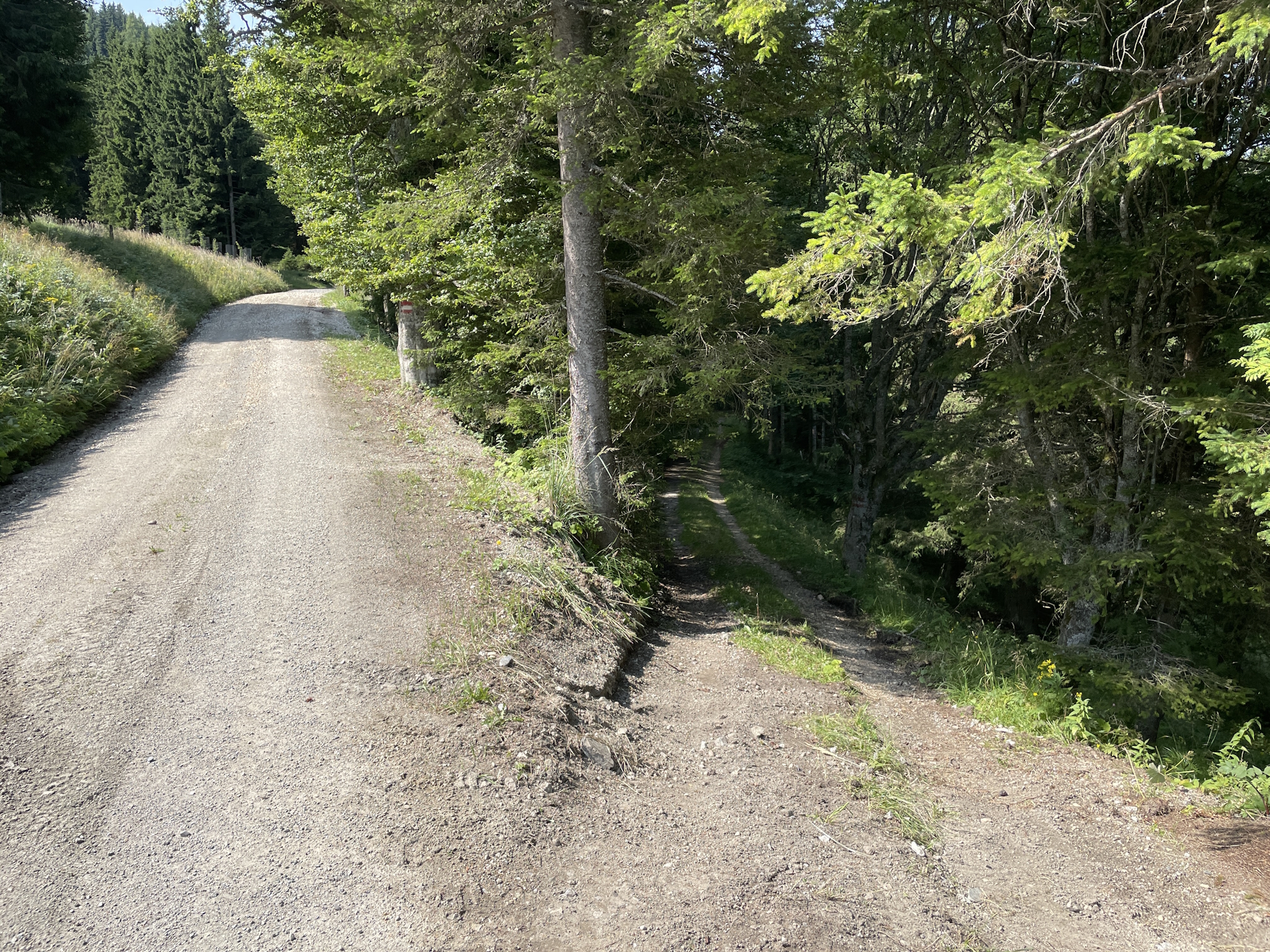 Follow the gravel road on the left (see signposts), the old trail (right) is no longer maintained!