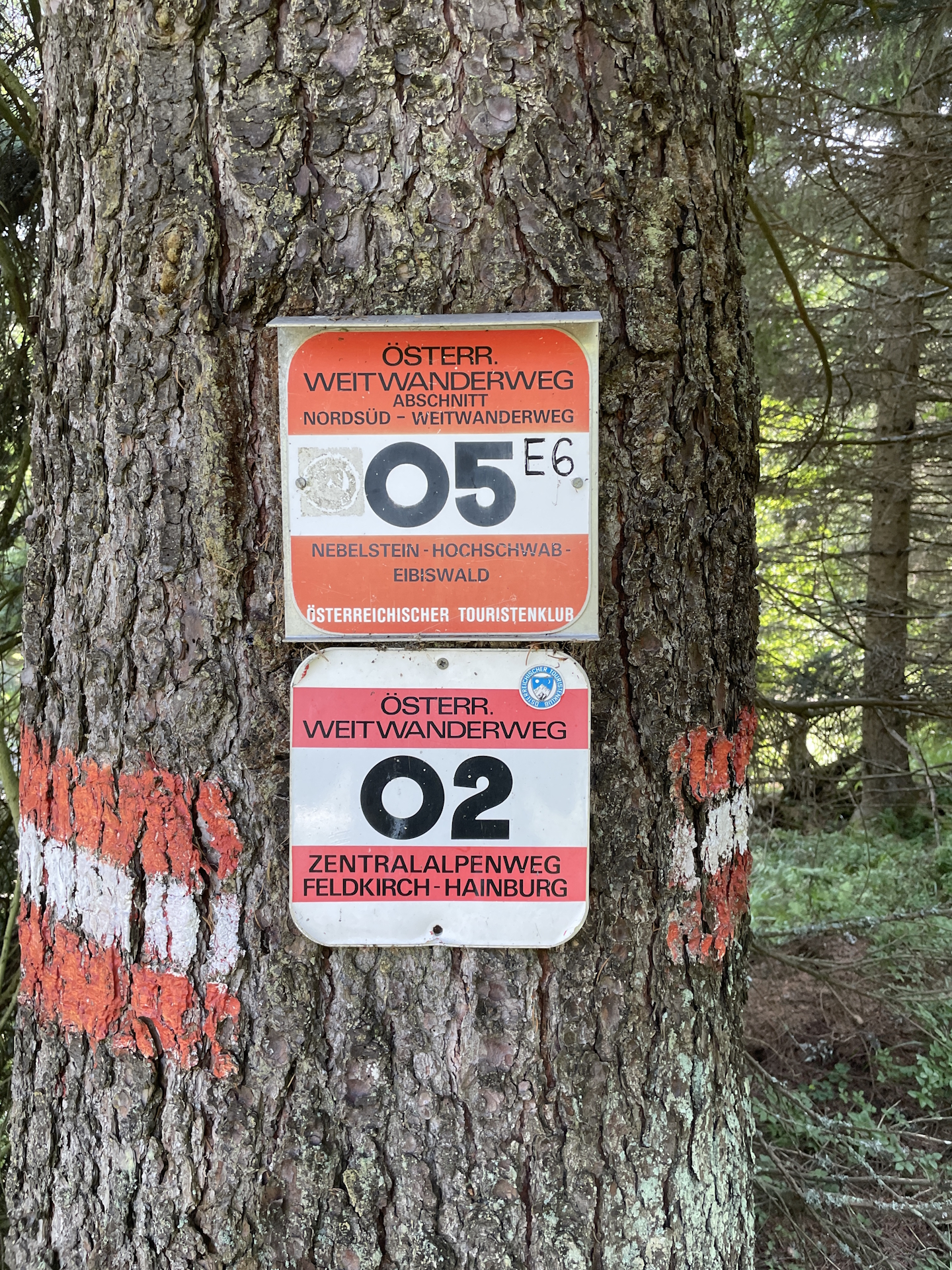 On the shared trail up to <i>Fensteralm</i>
