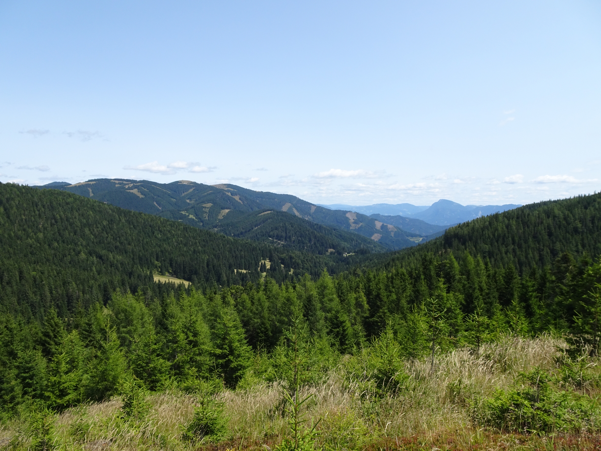Scenic view from the trail towards <i>Fensteralm</i>