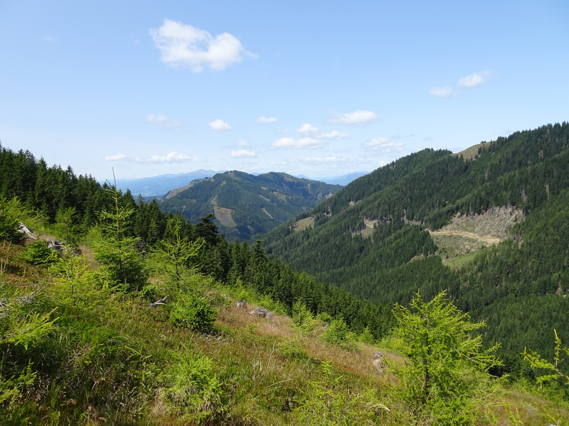 Scenic view from the trail towards <i>Fensteralm</i>