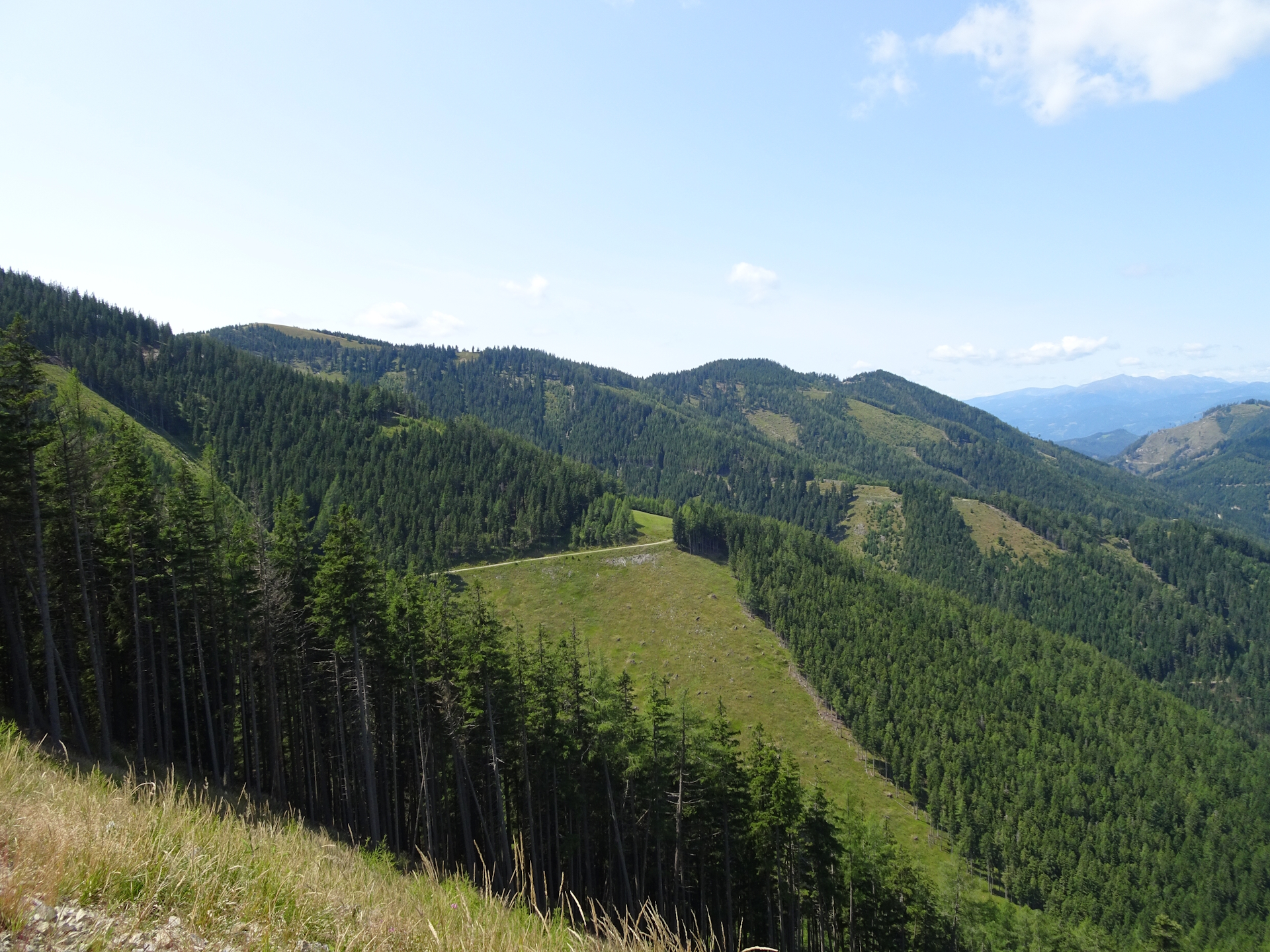 Scenic view from the trail towards <i>Fensteralm</i>