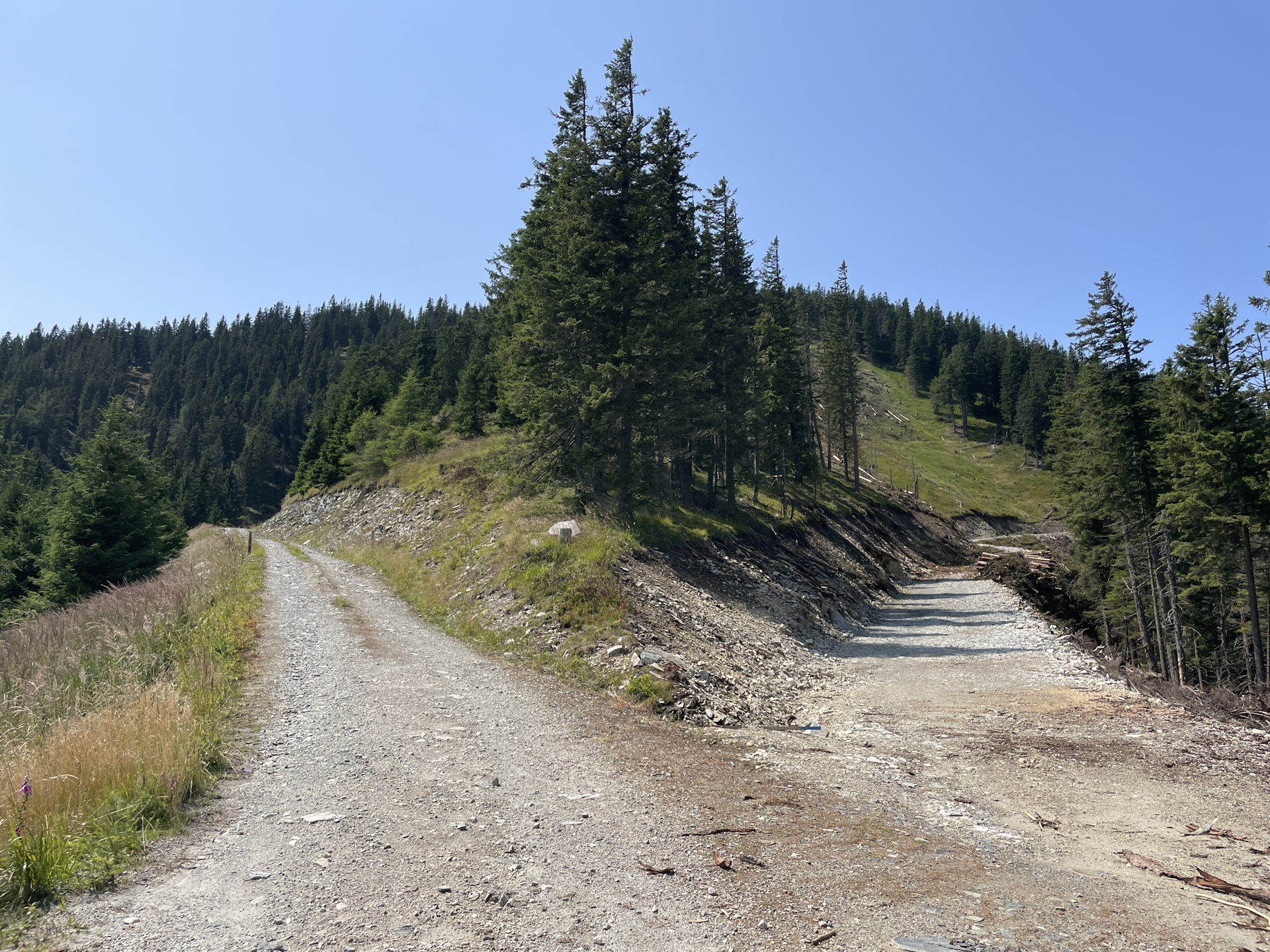 Follow the left gravel road towards <i>Fensteralm</i>