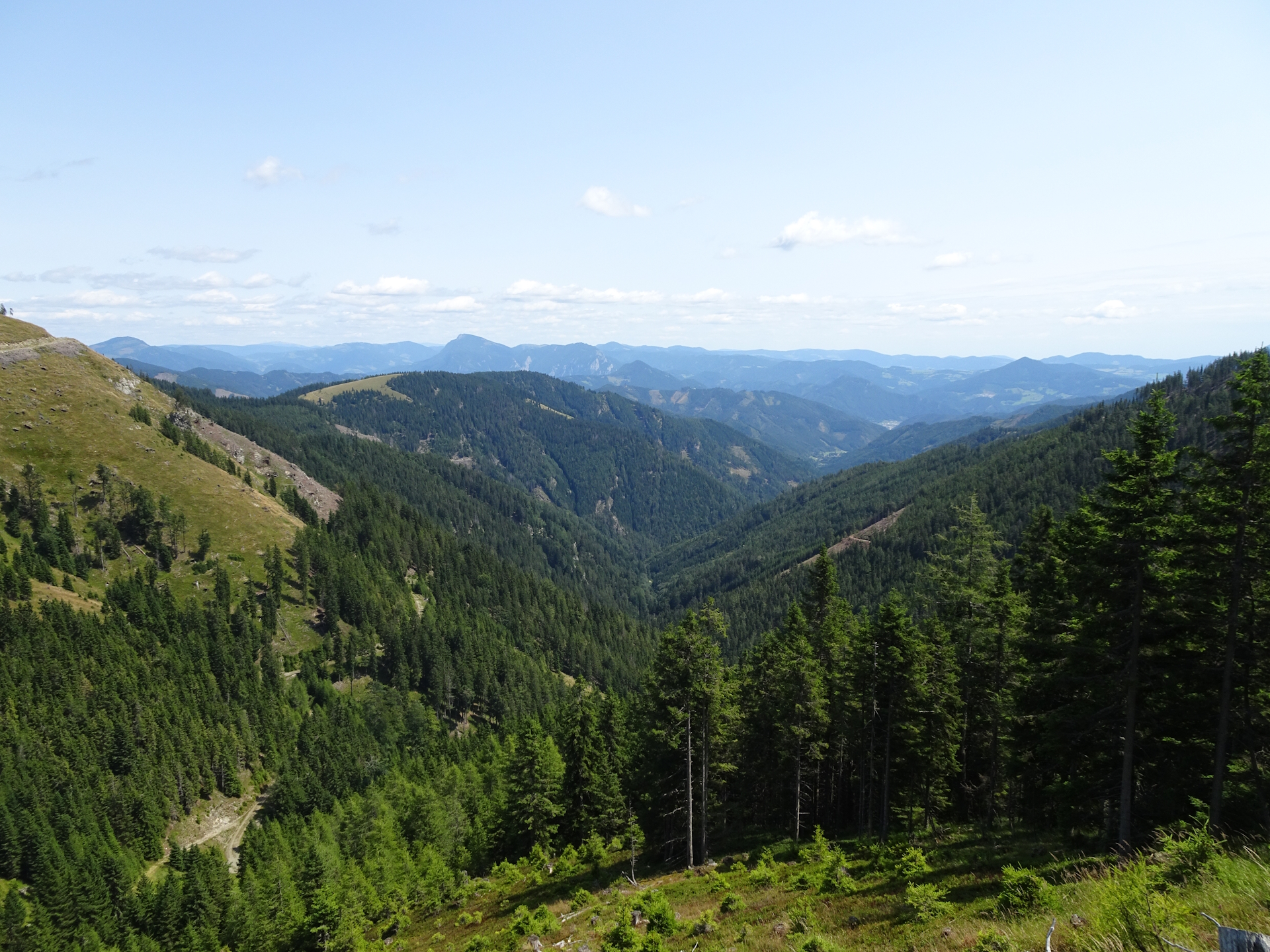 View from the road towards <i>Fensteralm</i>